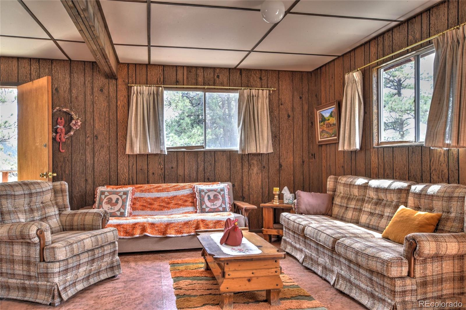 MLS Image #4 for 490  teller street,lake george, Colorado