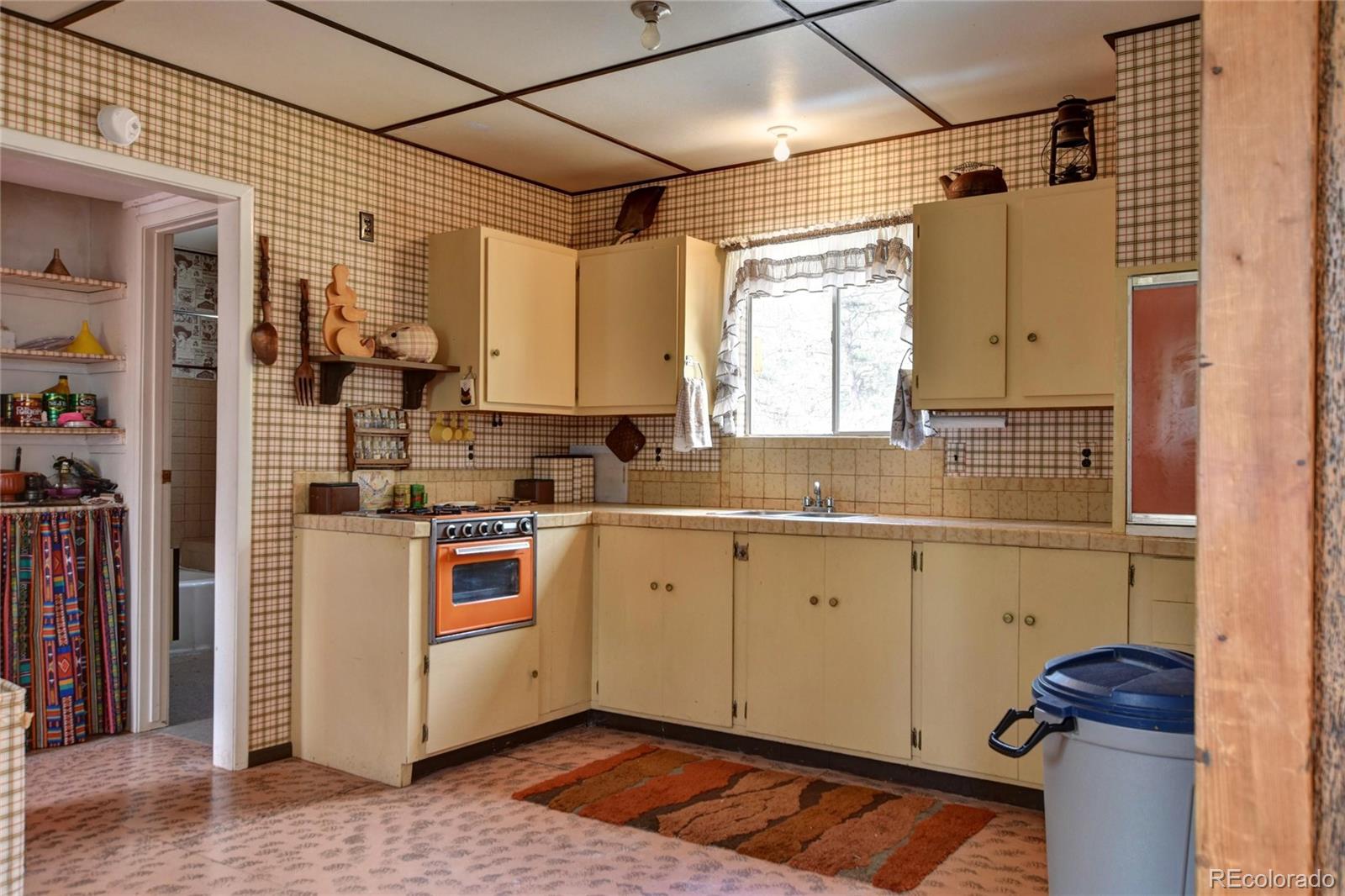 MLS Image #6 for 490  teller street,lake george, Colorado