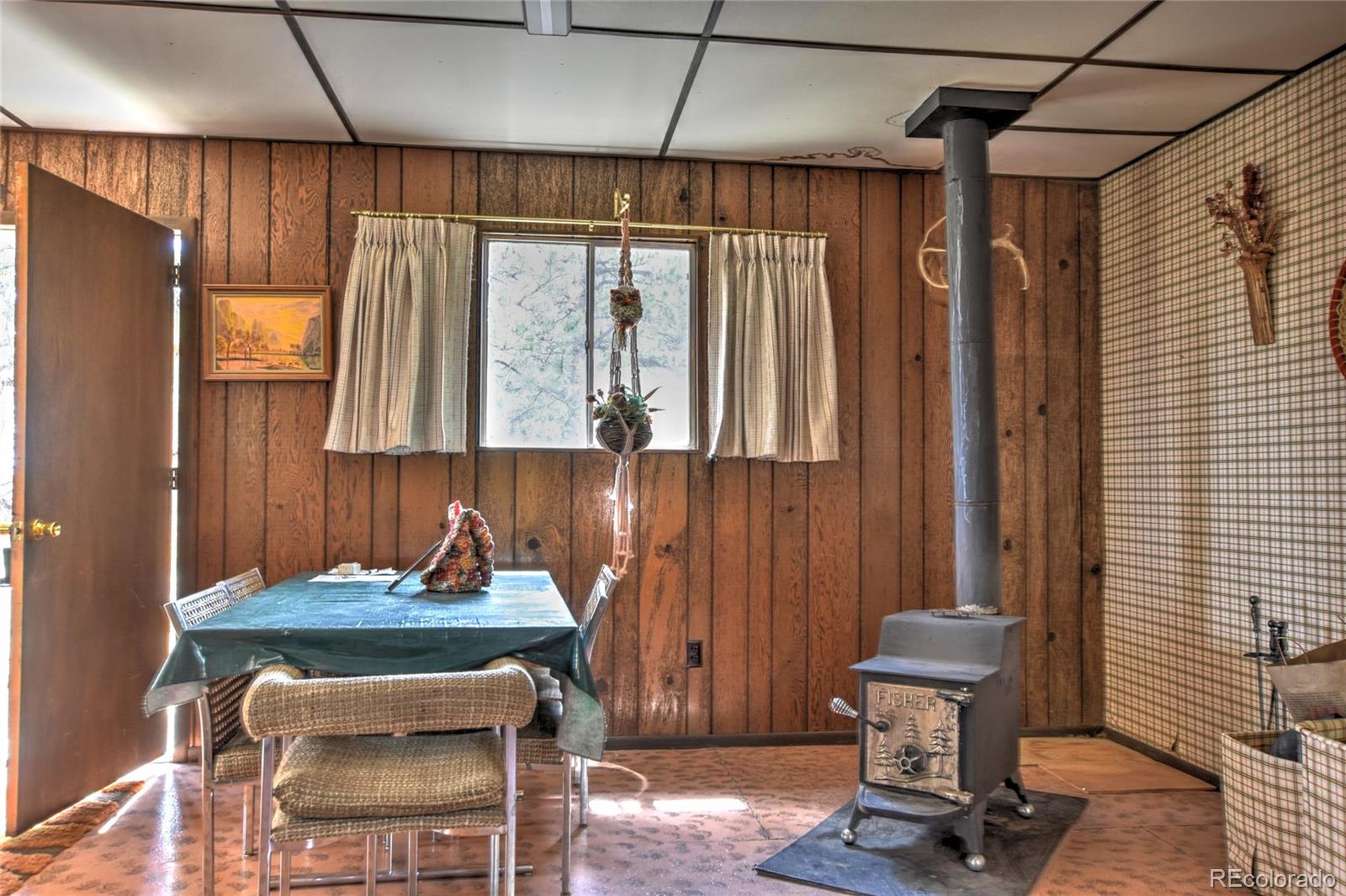 MLS Image #7 for 490  teller street,lake george, Colorado