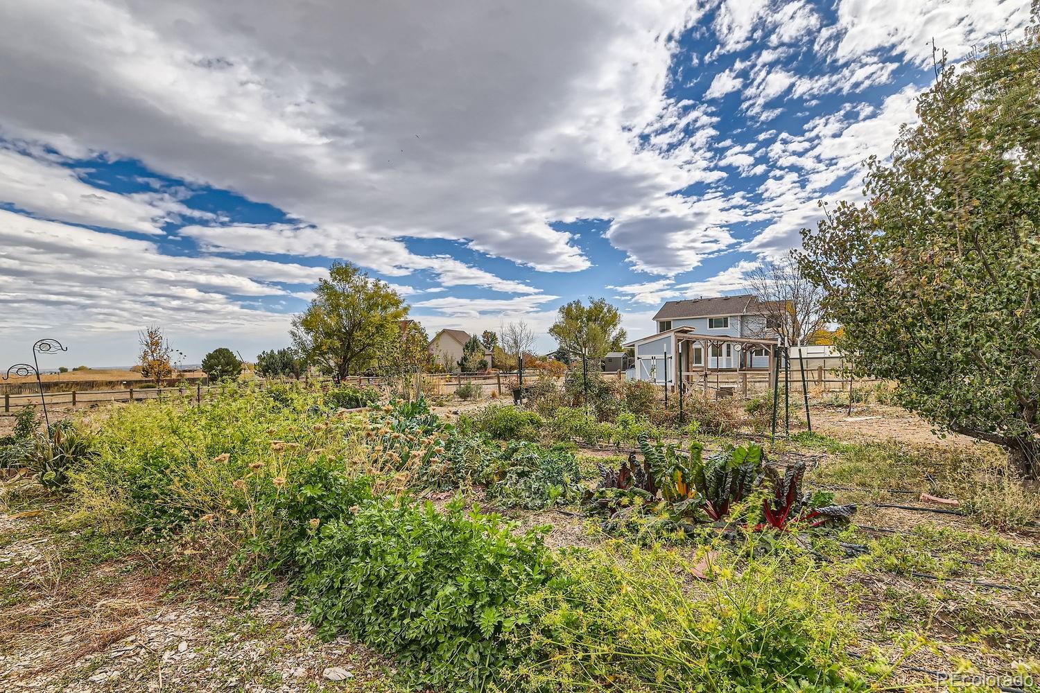 MLS Image #10 for 18715  wagon trail,mead, Colorado
