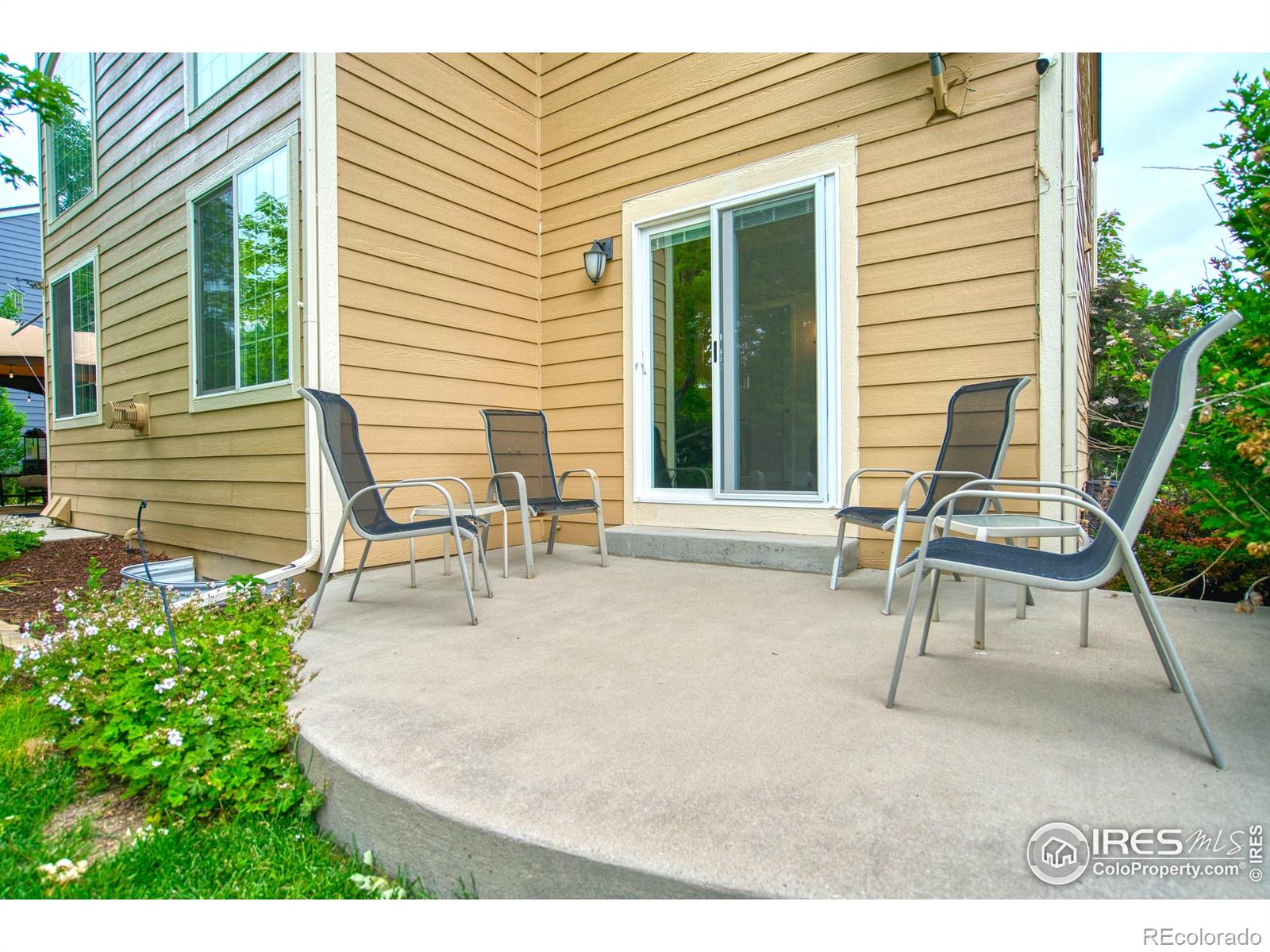 MLS Image #12 for 3245  grand canyon street,fort collins, Colorado