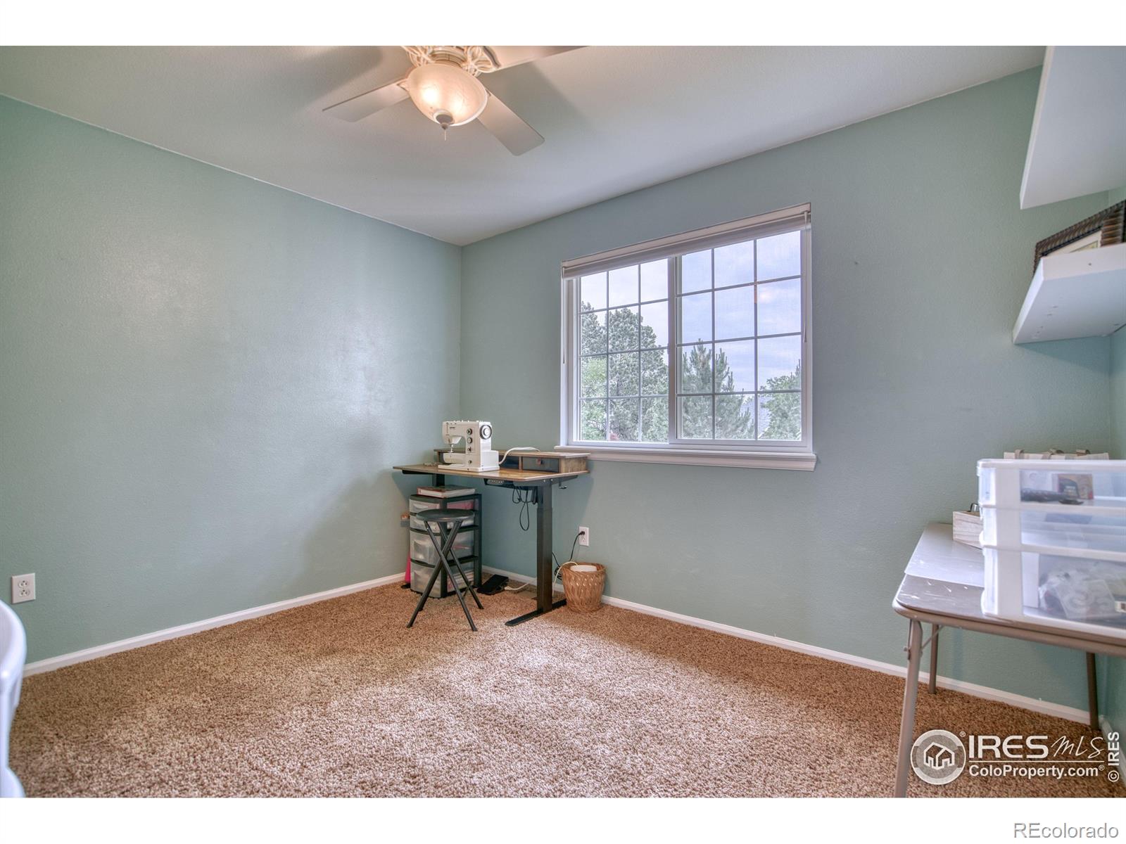 MLS Image #24 for 3245  grand canyon street,fort collins, Colorado