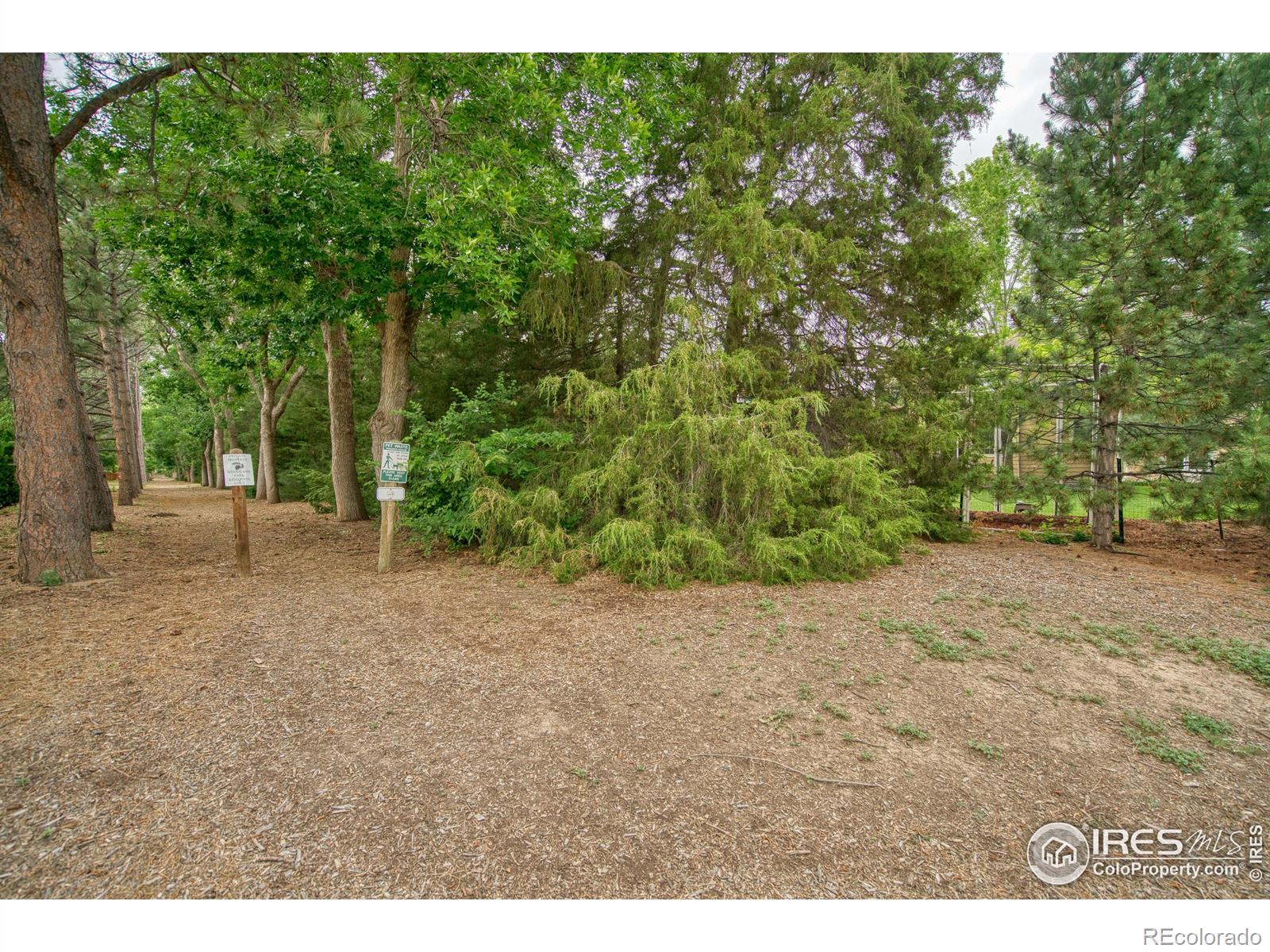 MLS Image #36 for 3245  grand canyon street,fort collins, Colorado