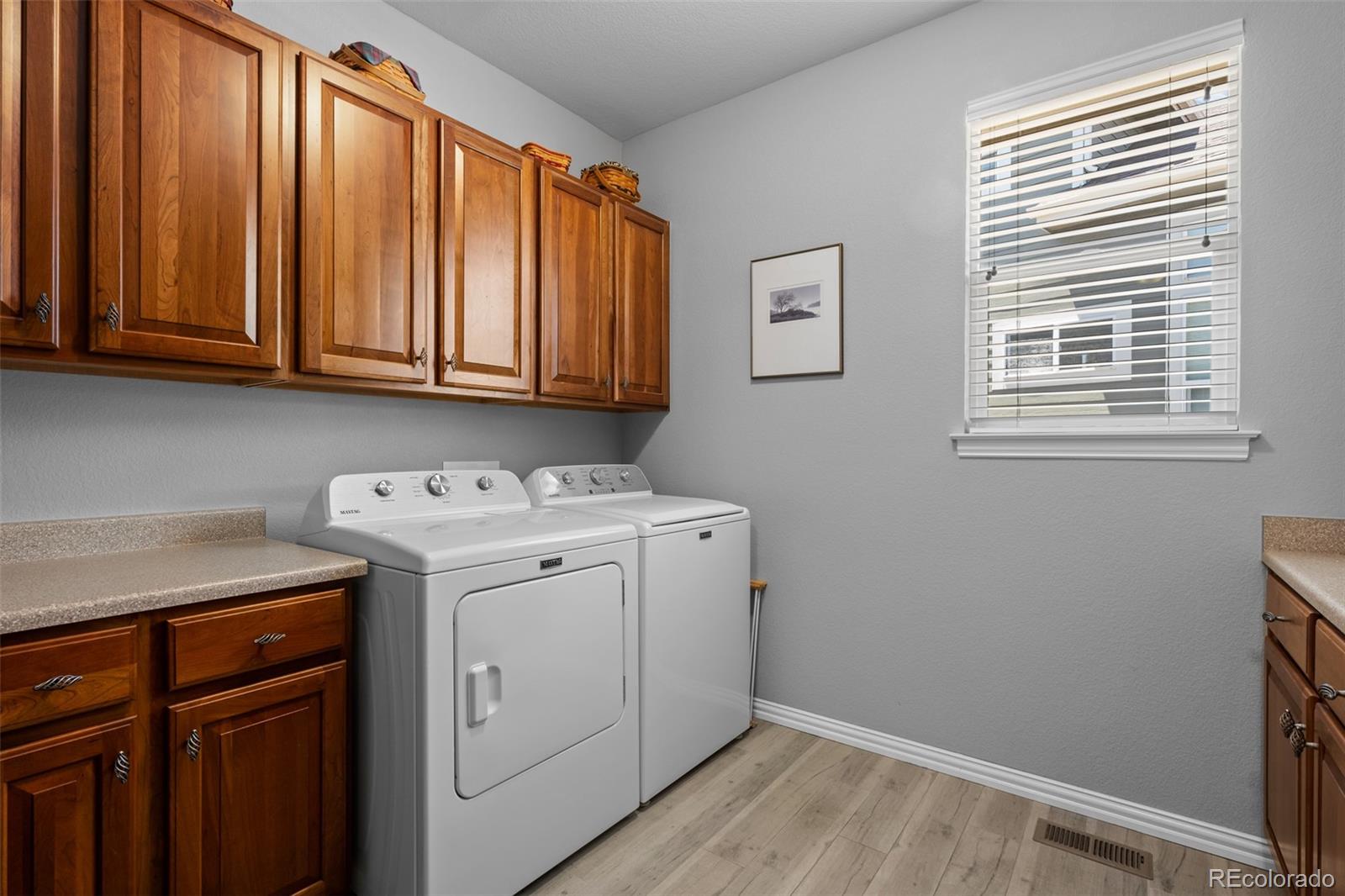 MLS Image #27 for 3092  fox sedge place,highlands ranch, Colorado