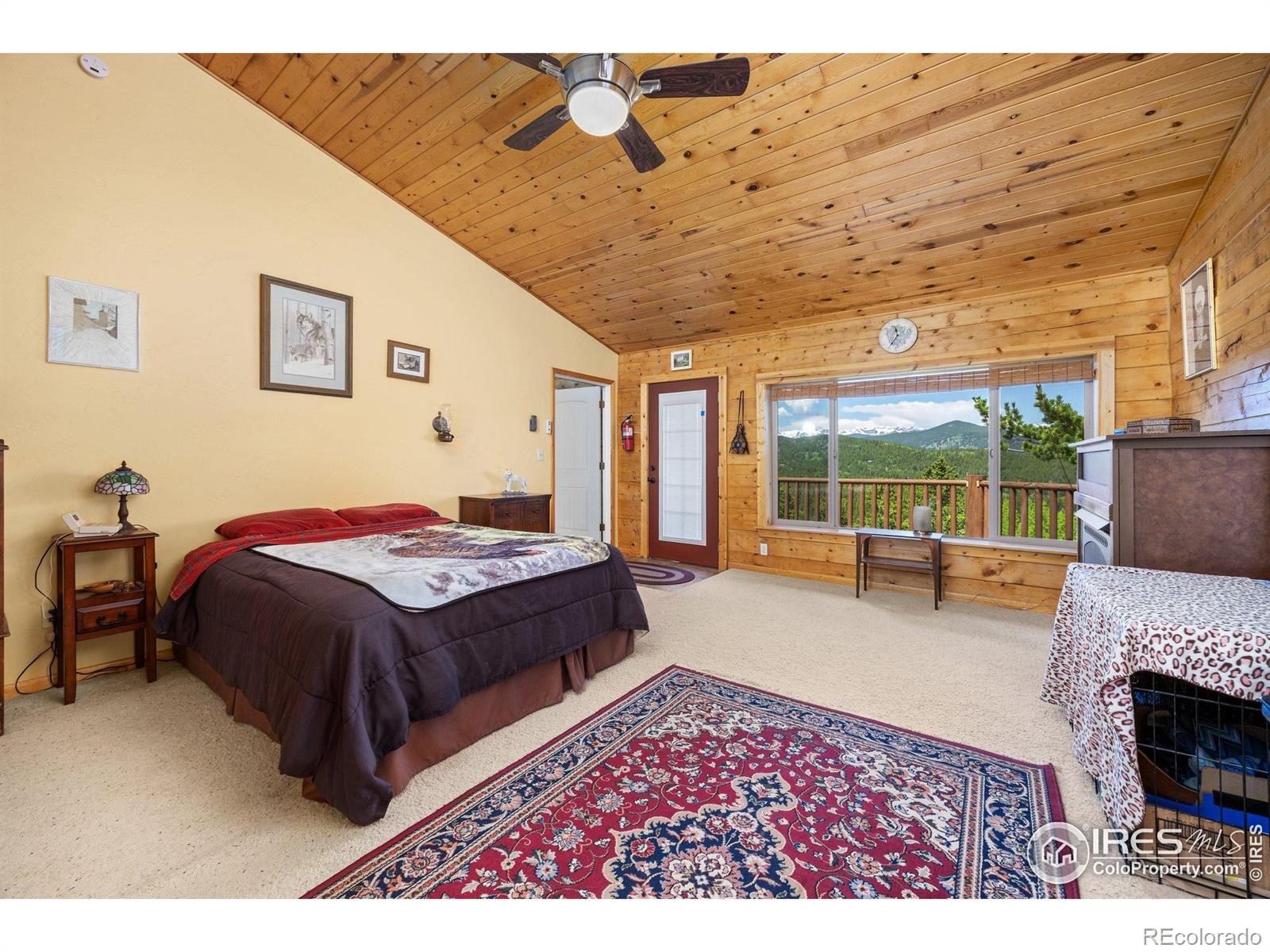 MLS Image #18 for 305  genevas way,black hawk, Colorado