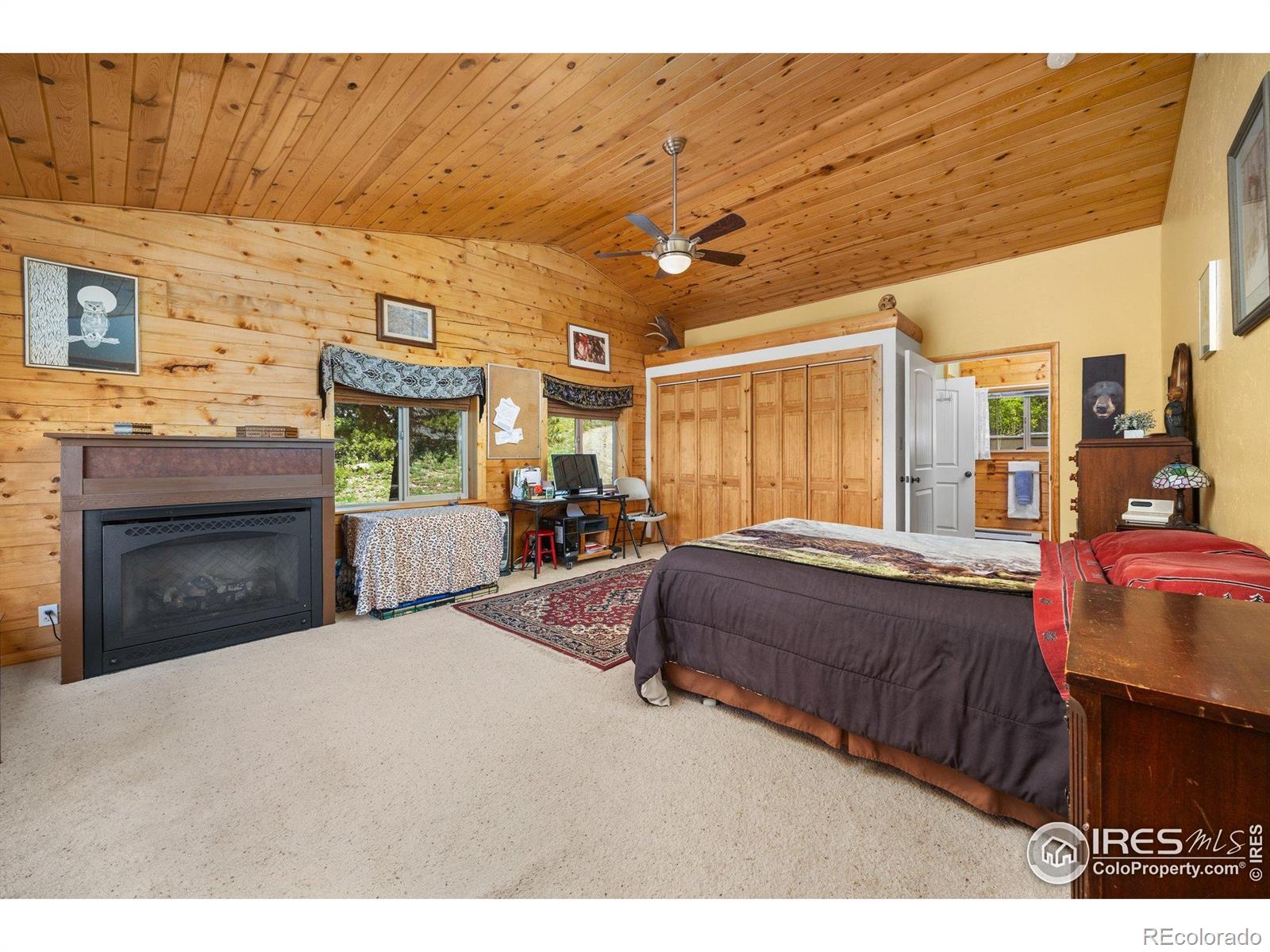 MLS Image #19 for 305  genevas way,black hawk, Colorado