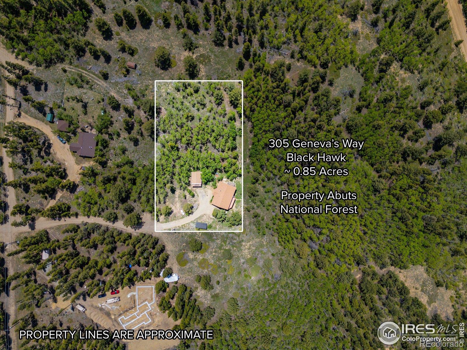 MLS Image #6 for 305  genevas way,black hawk, Colorado