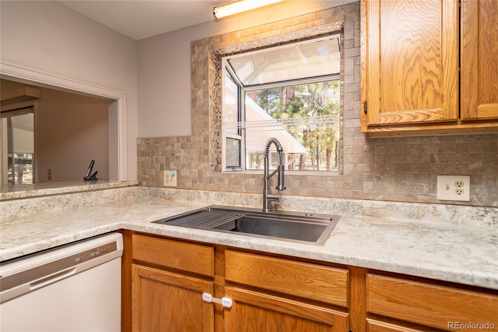 MLS Image #11 for 12375  mount shasta drive,elbert, Colorado