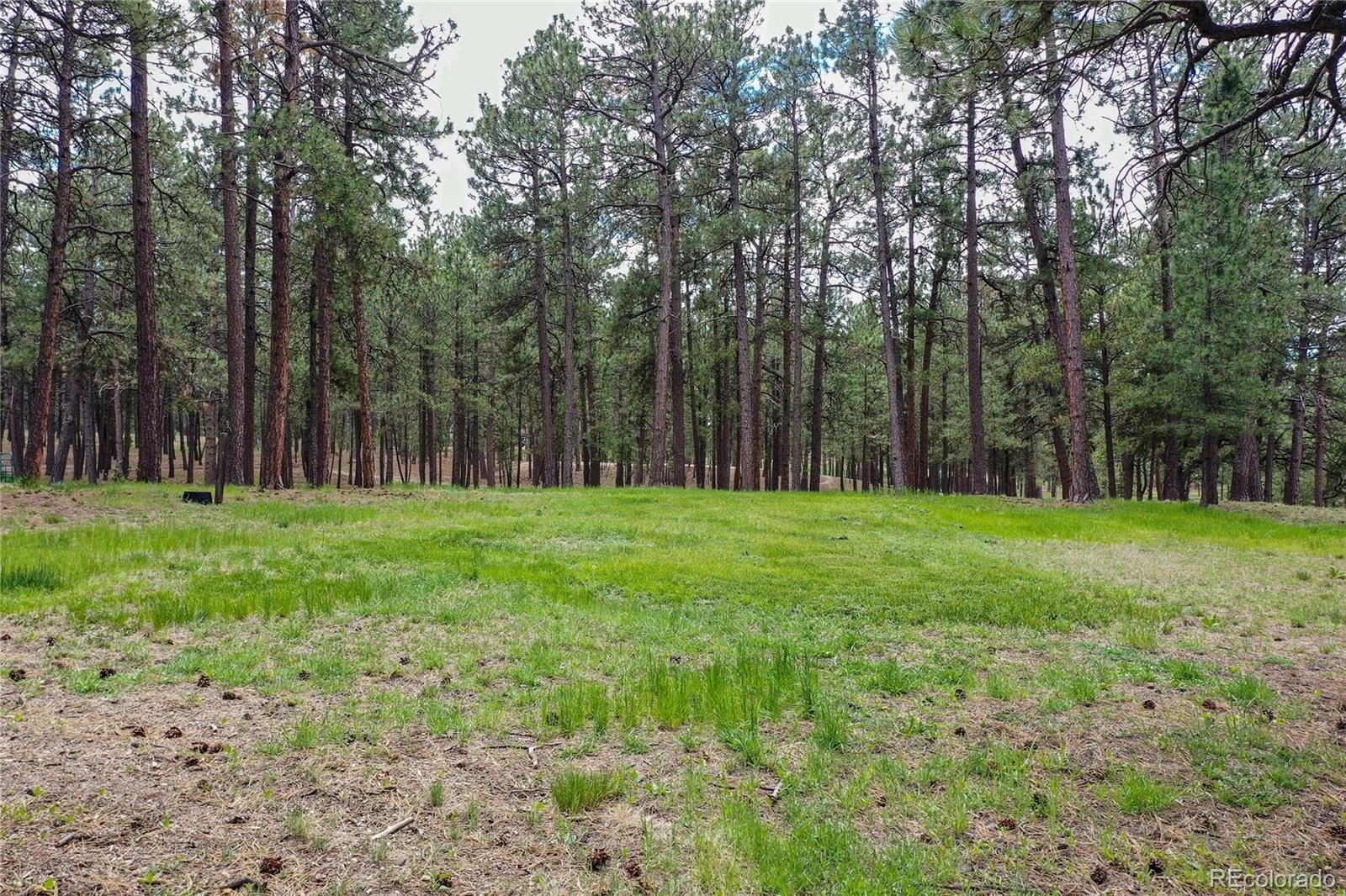 MLS Image #28 for 12375  mount shasta drive,elbert, Colorado