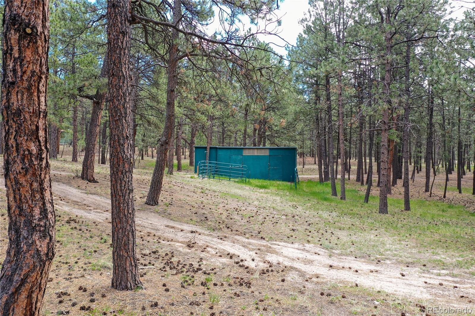 MLS Image #29 for 12375  mount shasta drive,elbert, Colorado