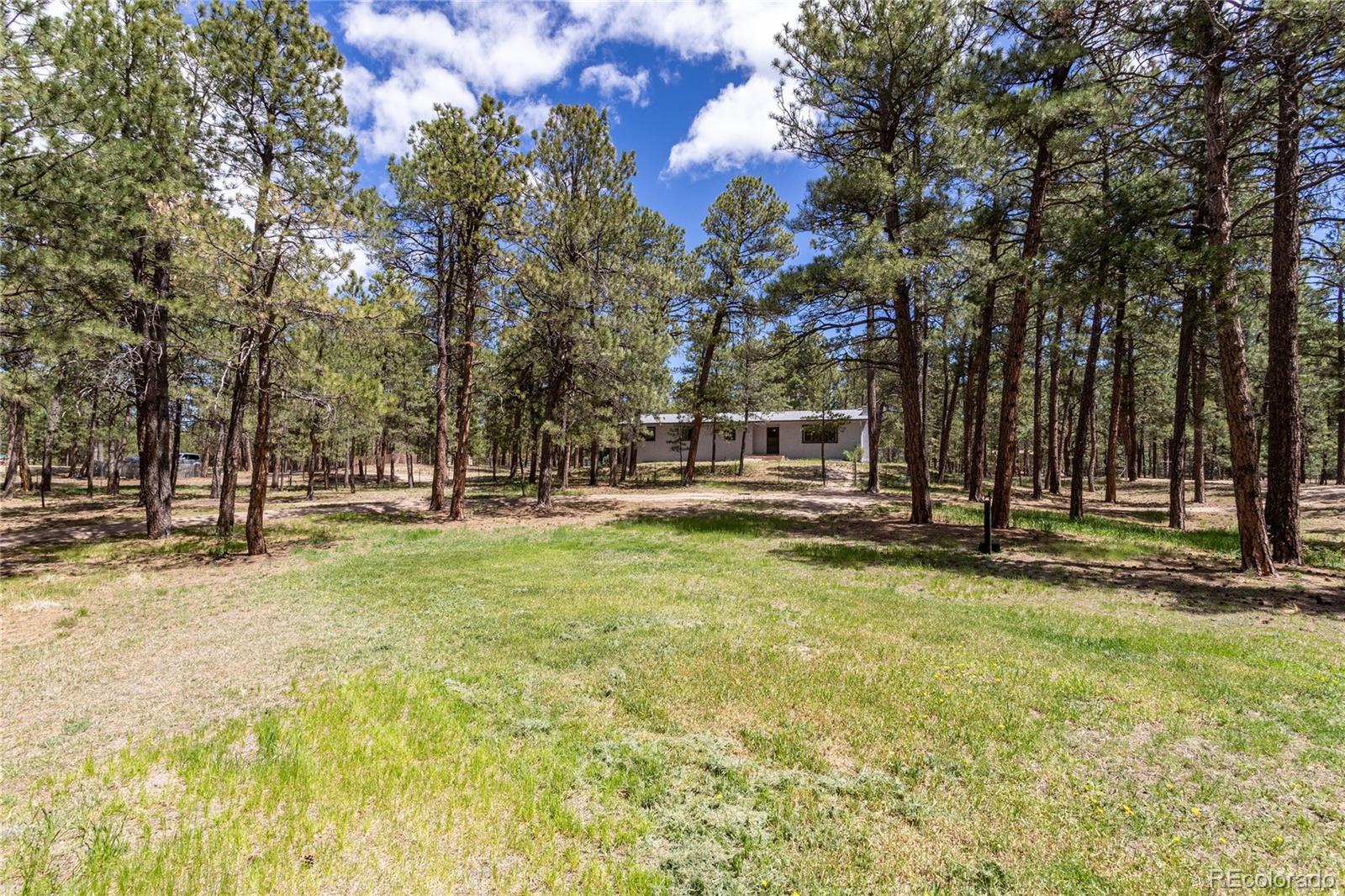 MLS Image #3 for 12375  mount shasta drive,elbert, Colorado