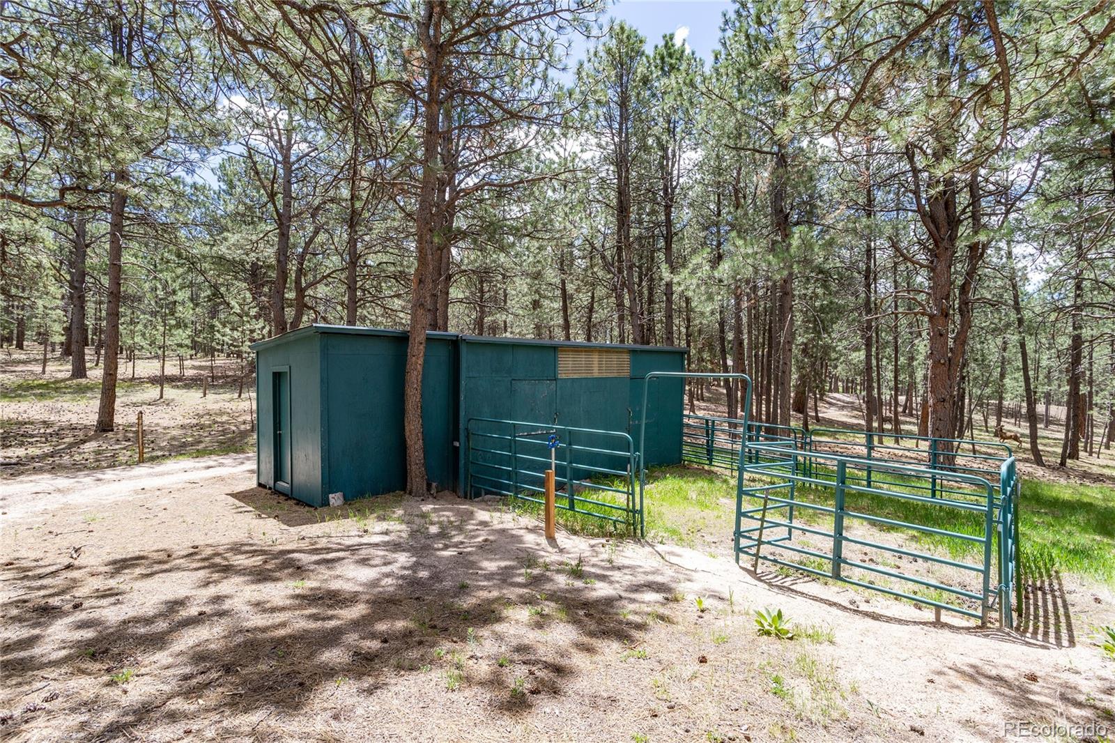 MLS Image #30 for 12375  mount shasta drive,elbert, Colorado