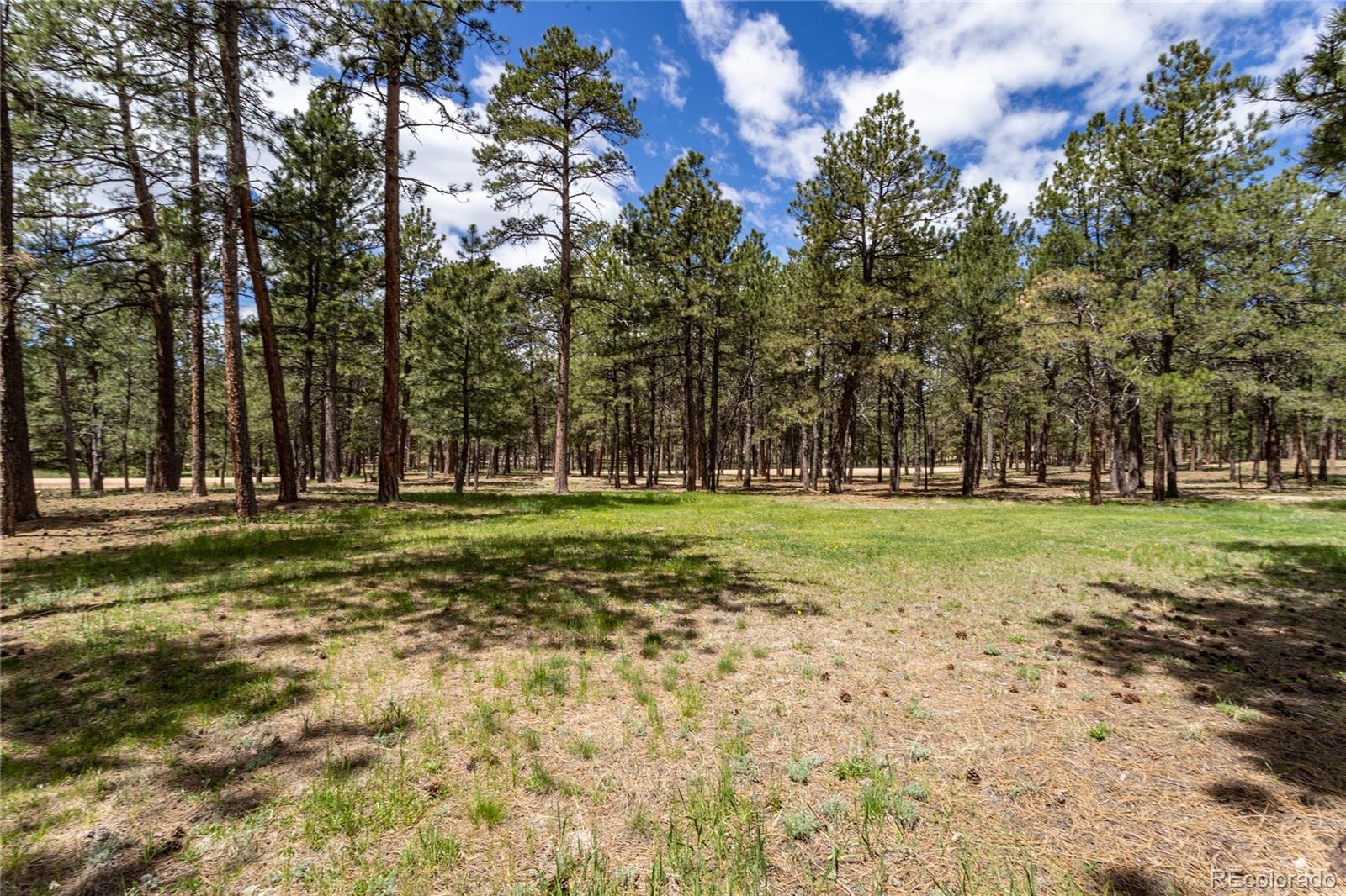 MLS Image #44 for 12375  mount shasta drive,elbert, Colorado