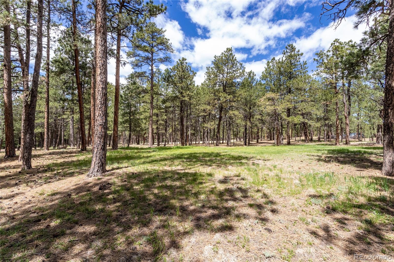 MLS Image #45 for 12375  mount shasta drive,elbert, Colorado