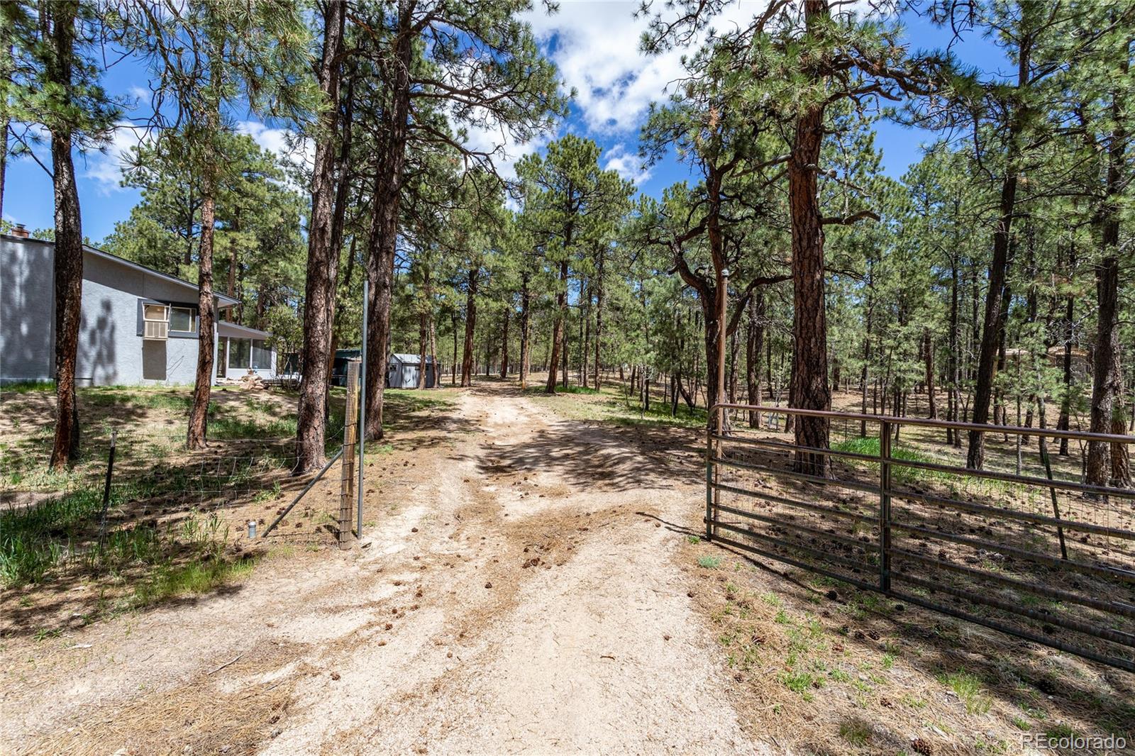 MLS Image #46 for 12375  mount shasta drive,elbert, Colorado