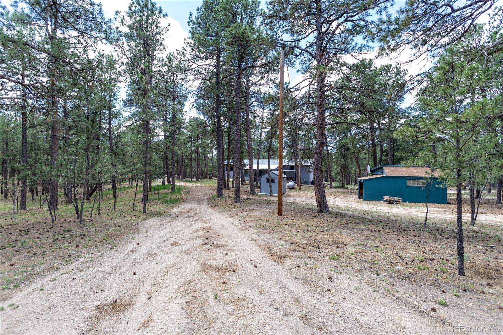 MLS Image #47 for 12375  mount shasta drive,elbert, Colorado