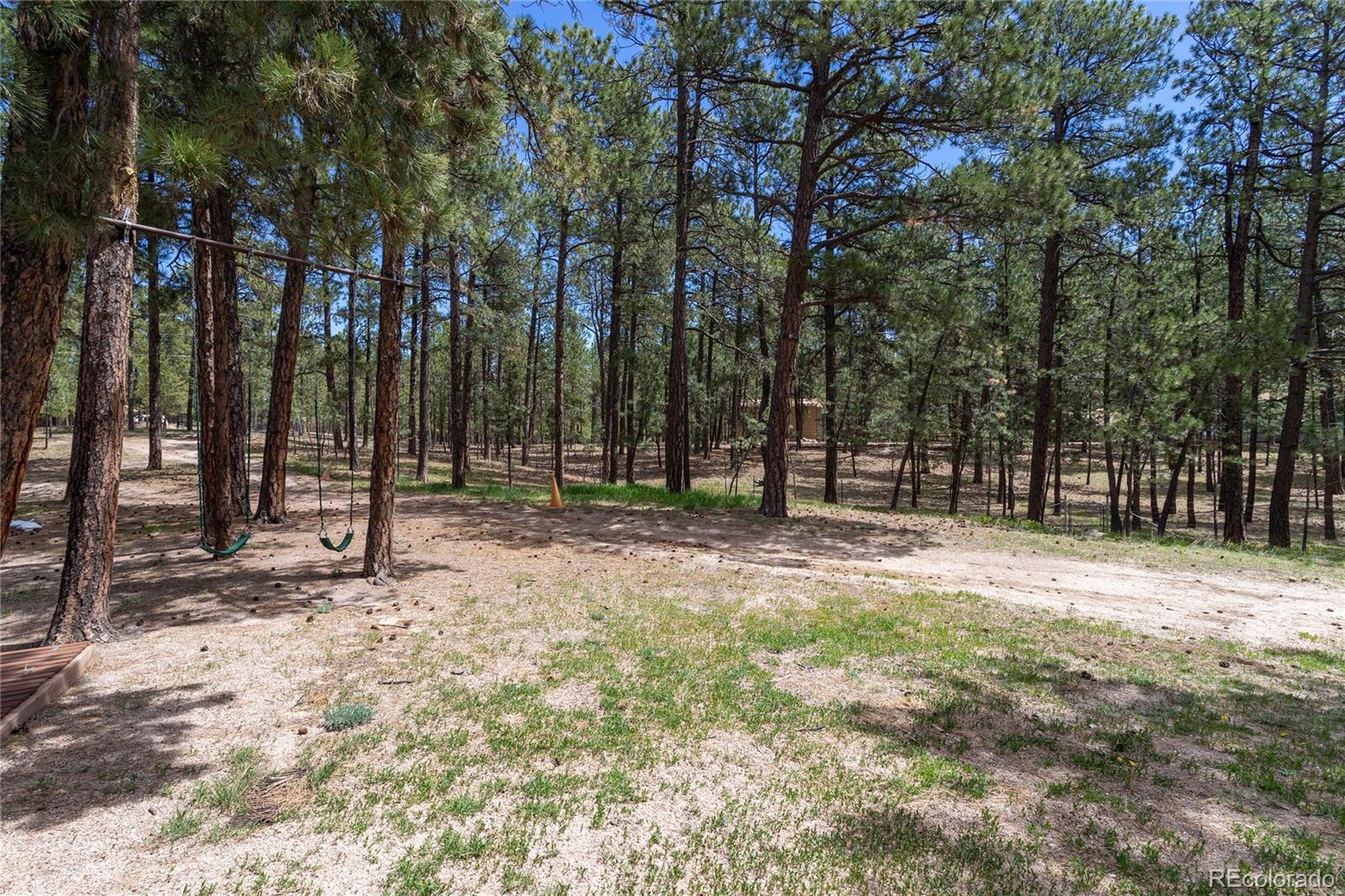 MLS Image #48 for 12375  mount shasta drive,elbert, Colorado