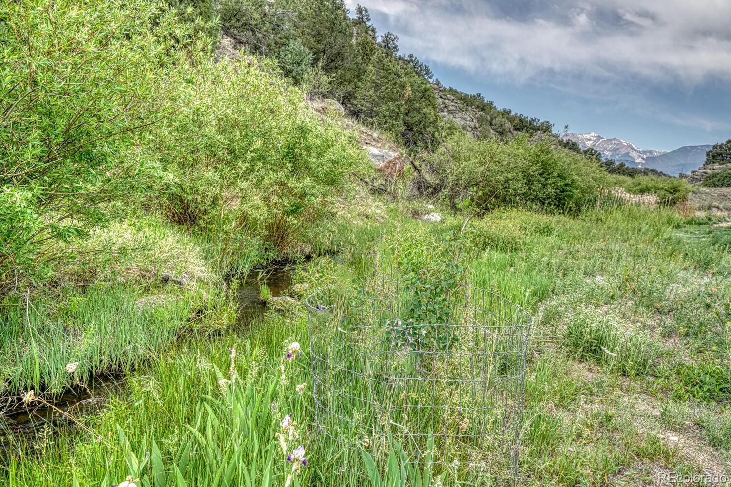MLS Image #10 for 11398  county road 302 ,buena vista, Colorado