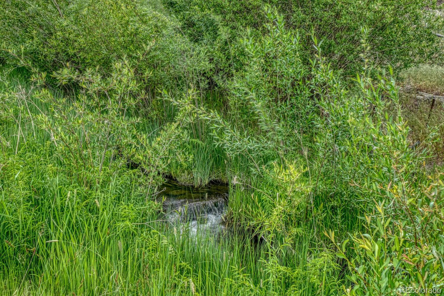 MLS Image #11 for 11398  county road 302 ,buena vista, Colorado