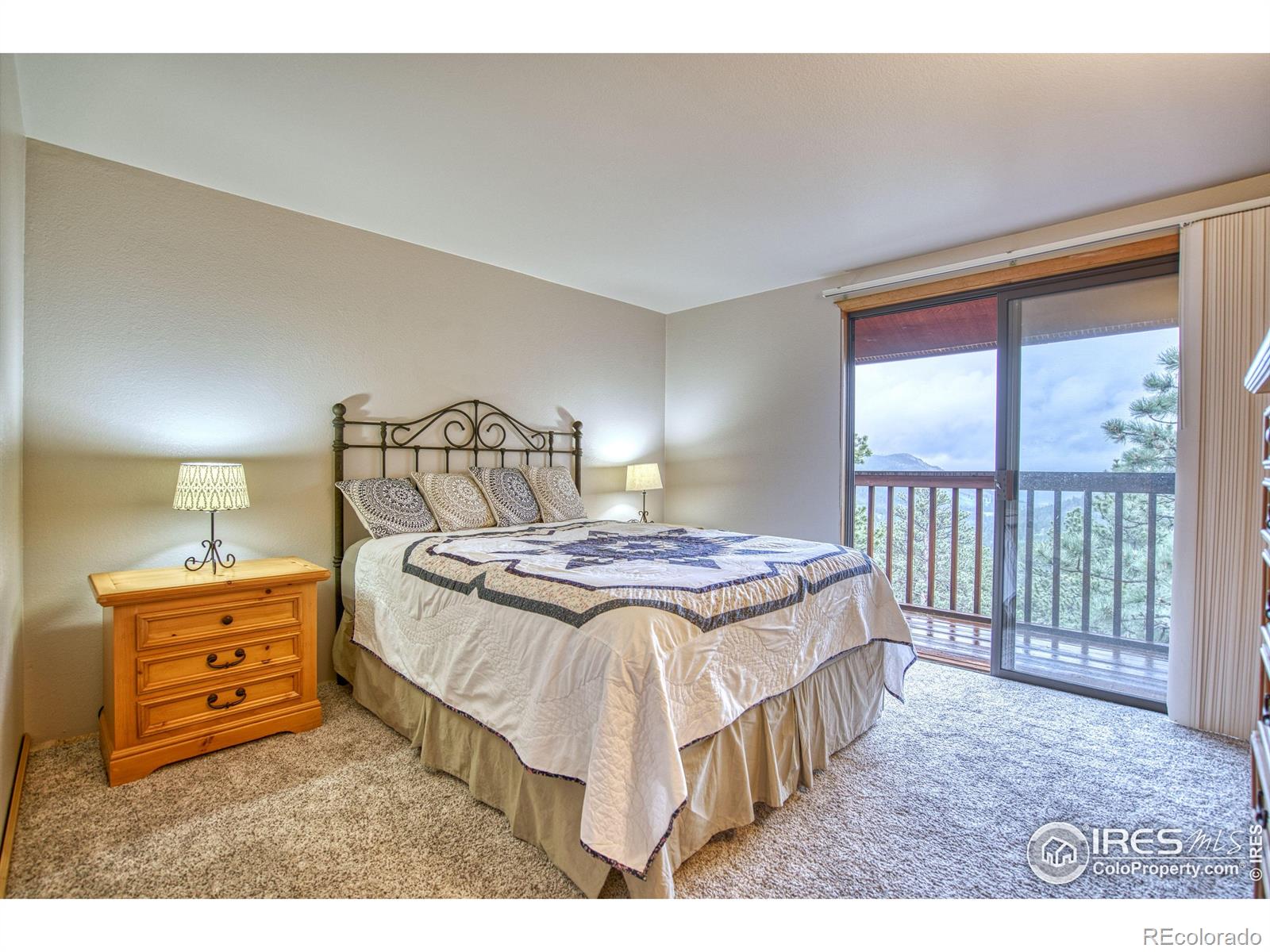 MLS Image #12 for 2434  stove prairie road,bellvue, Colorado
