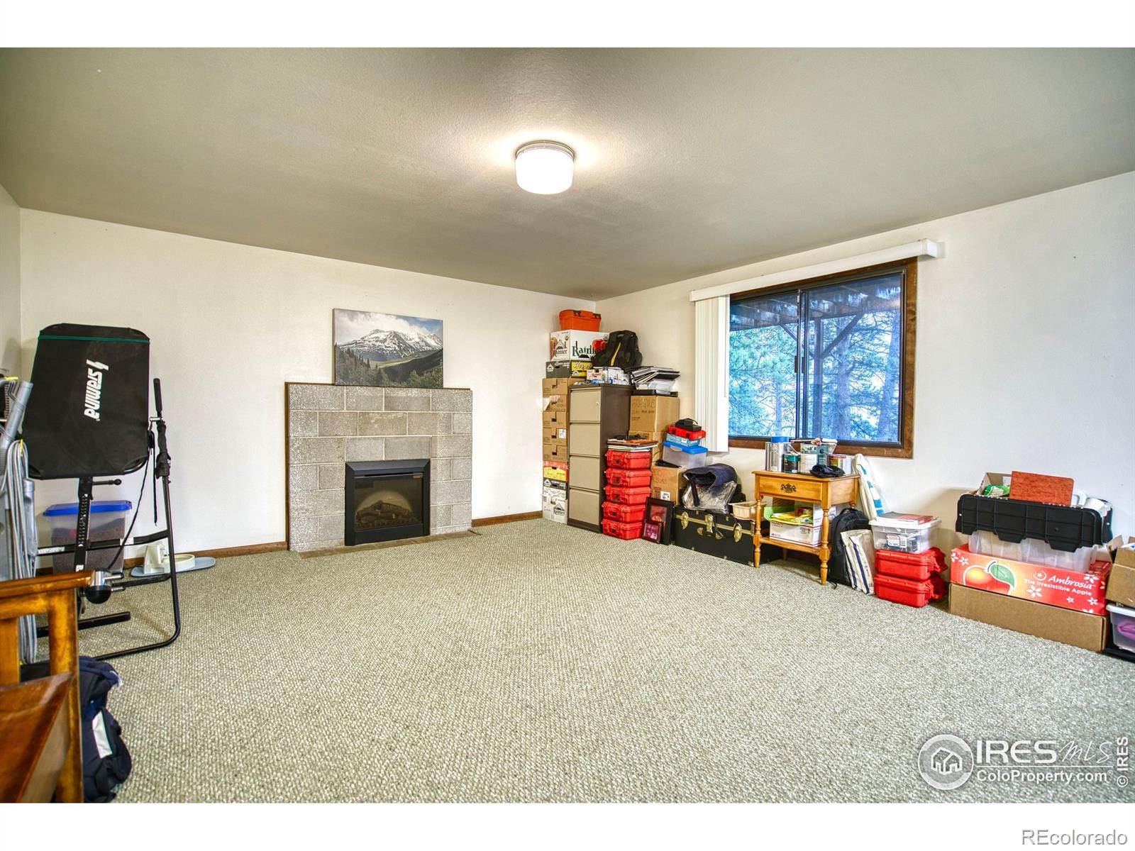 MLS Image #17 for 2434  stove prairie road,bellvue, Colorado