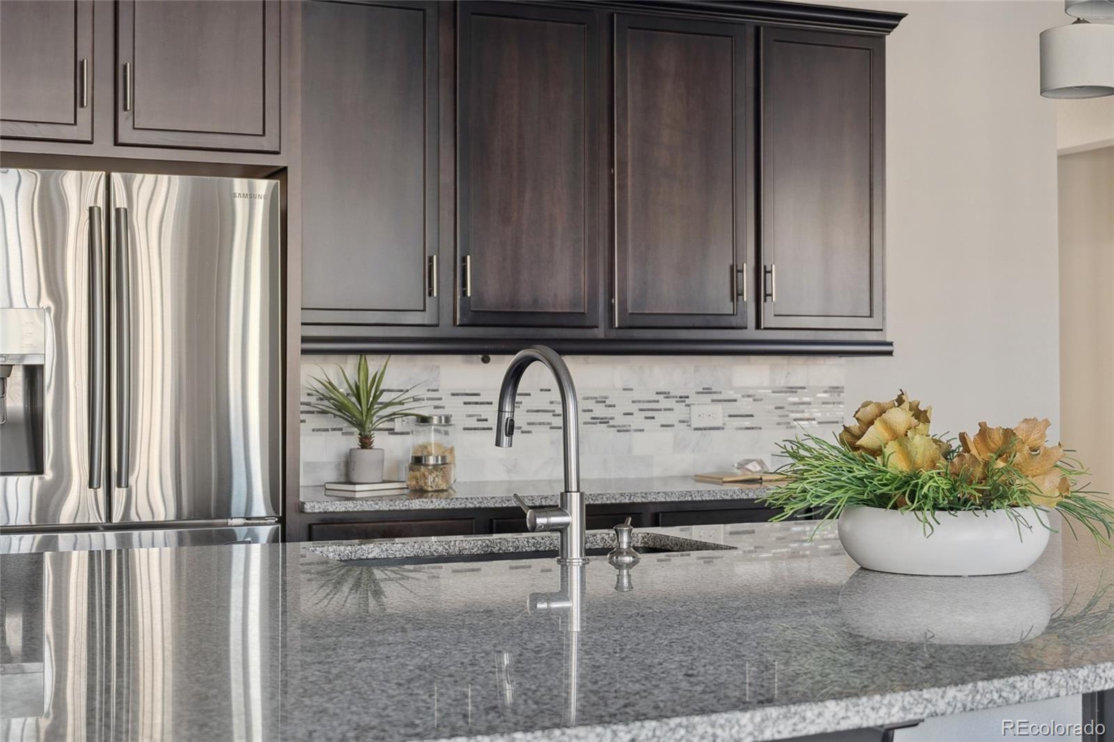 MLS Image #21 for 2668  scoter lane,castle rock, Colorado