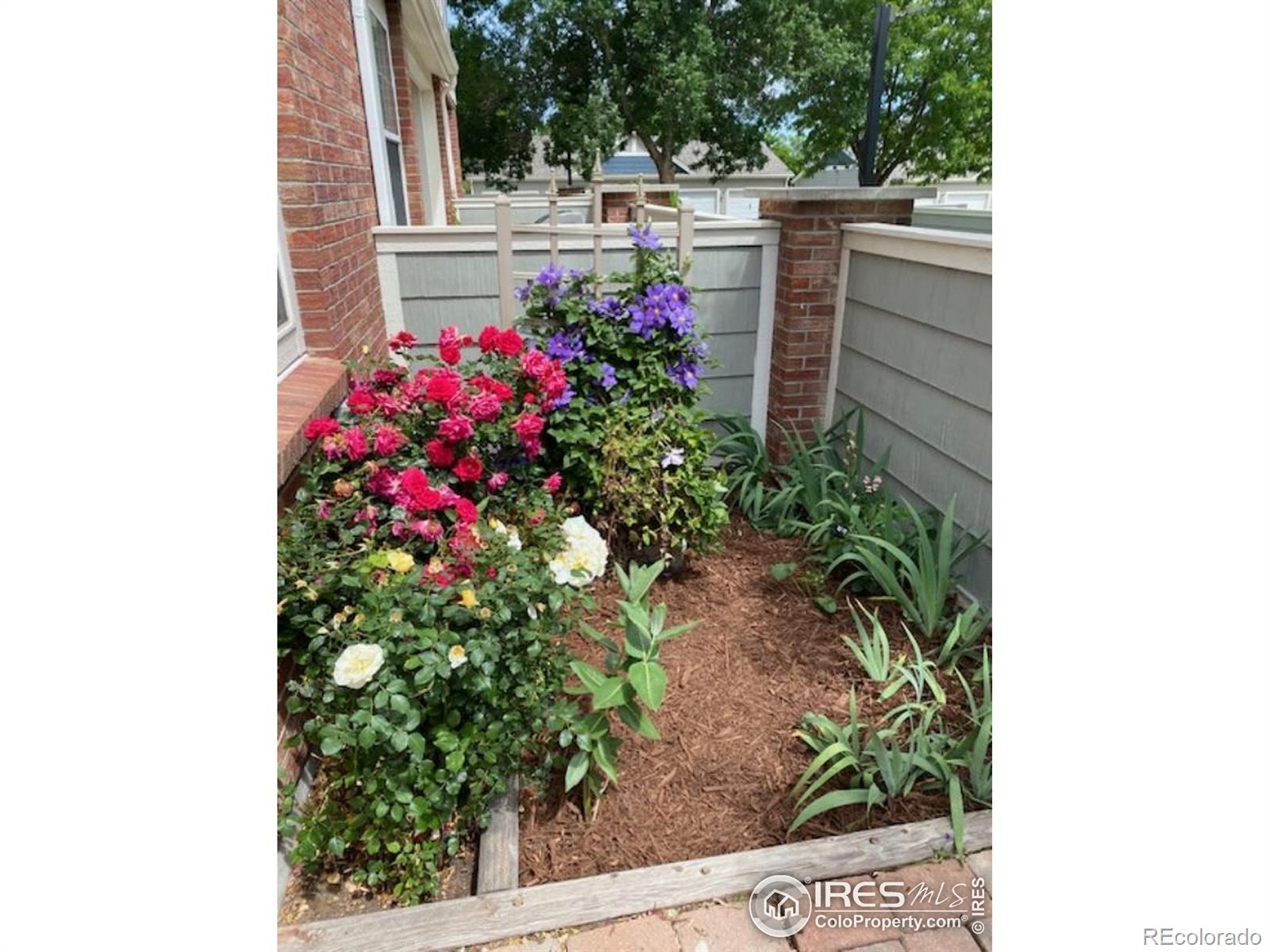 MLS Image #12 for 13900  lake song lane 3,broomfield, Colorado