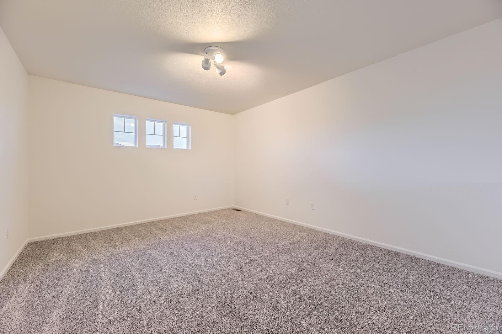 MLS Image #23 for 1998  coach house loop,castle rock, Colorado