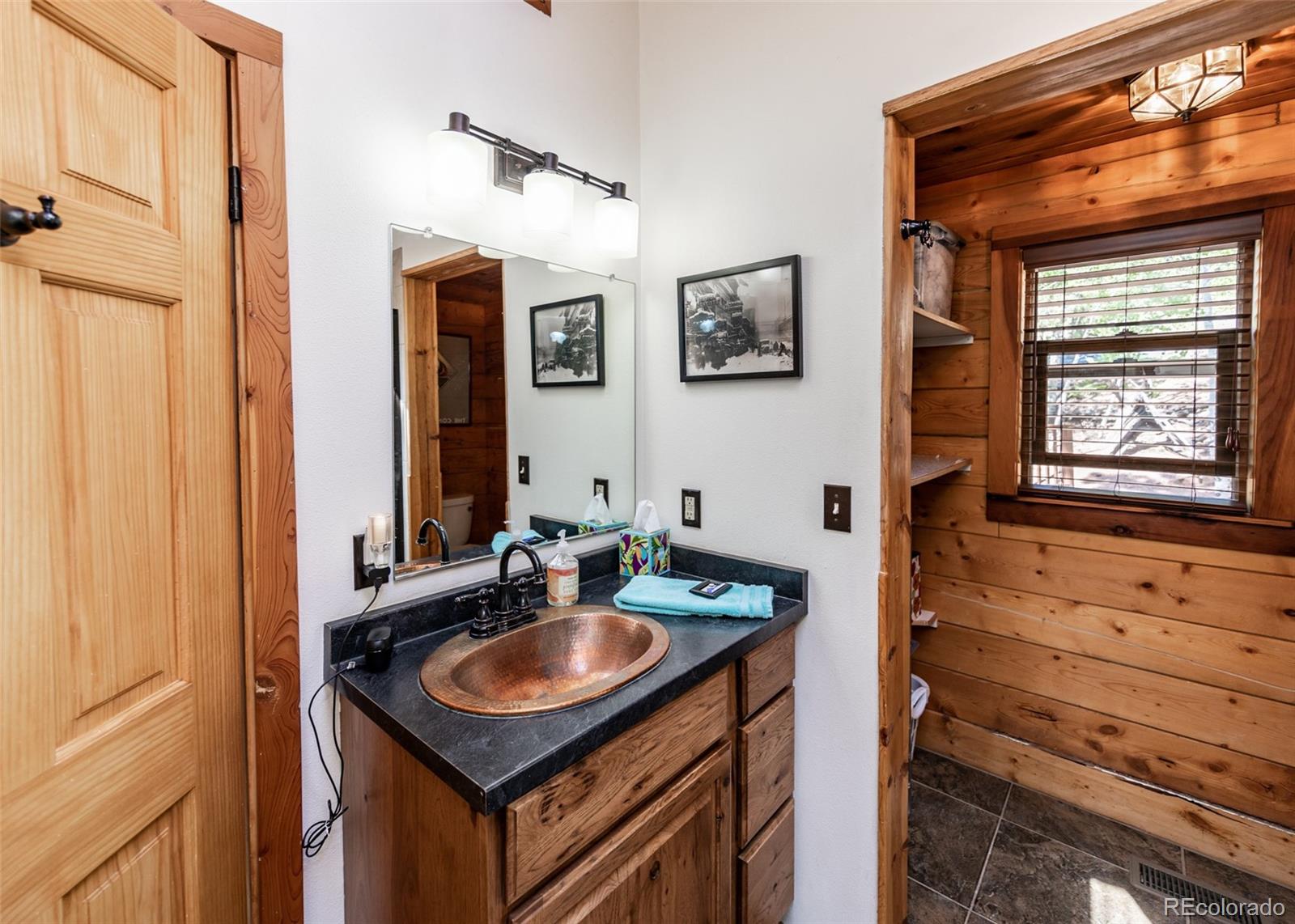 MLS Image #15 for 286  grosbeak circle,divide, Colorado