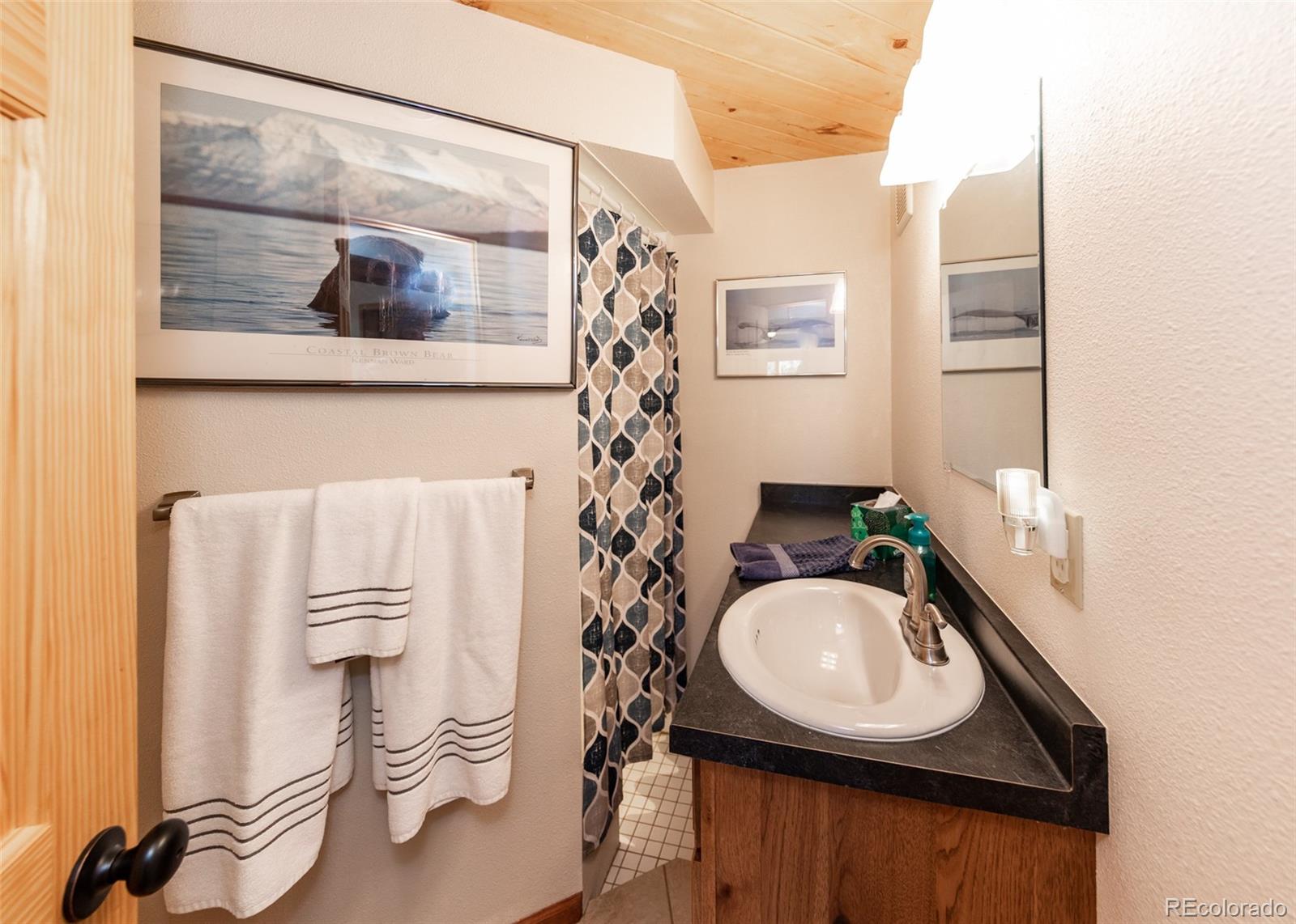 MLS Image #21 for 286  grosbeak circle,divide, Colorado