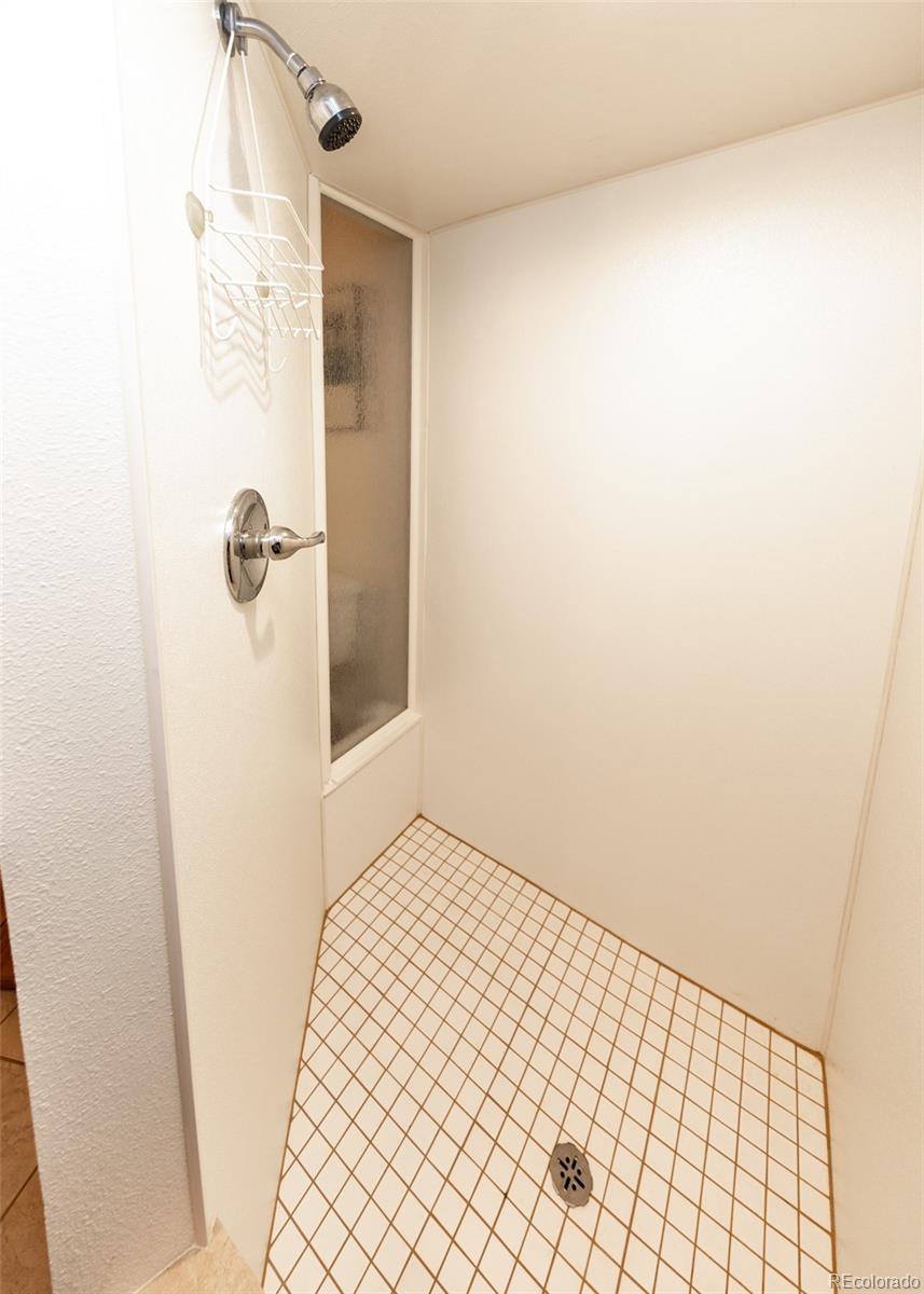 MLS Image #22 for 286  grosbeak circle,divide, Colorado