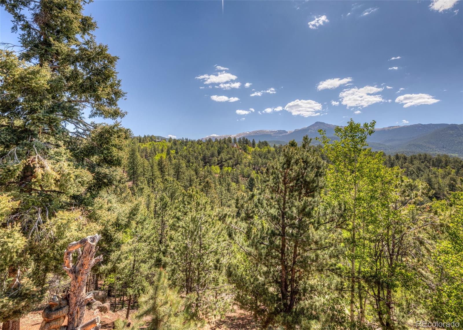 MLS Image #36 for 286  grosbeak circle,divide, Colorado