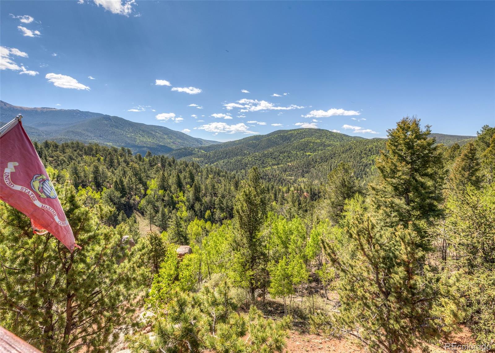 MLS Image #39 for 286  grosbeak circle,divide, Colorado