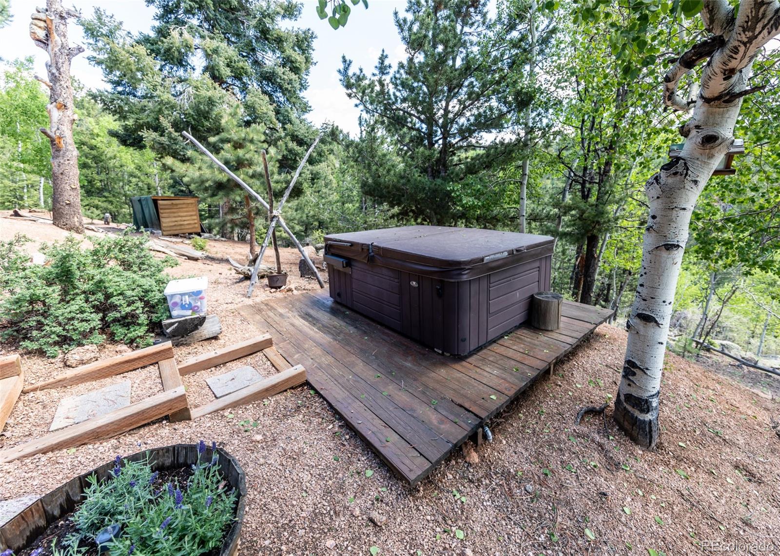 MLS Image #42 for 286  grosbeak circle,divide, Colorado
