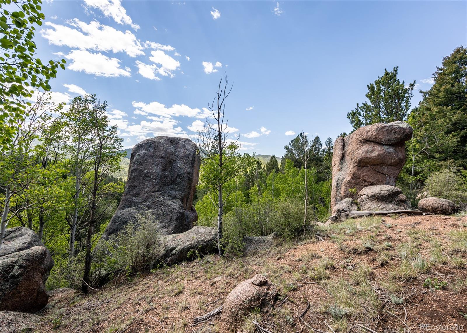 MLS Image #44 for 286  grosbeak circle,divide, Colorado