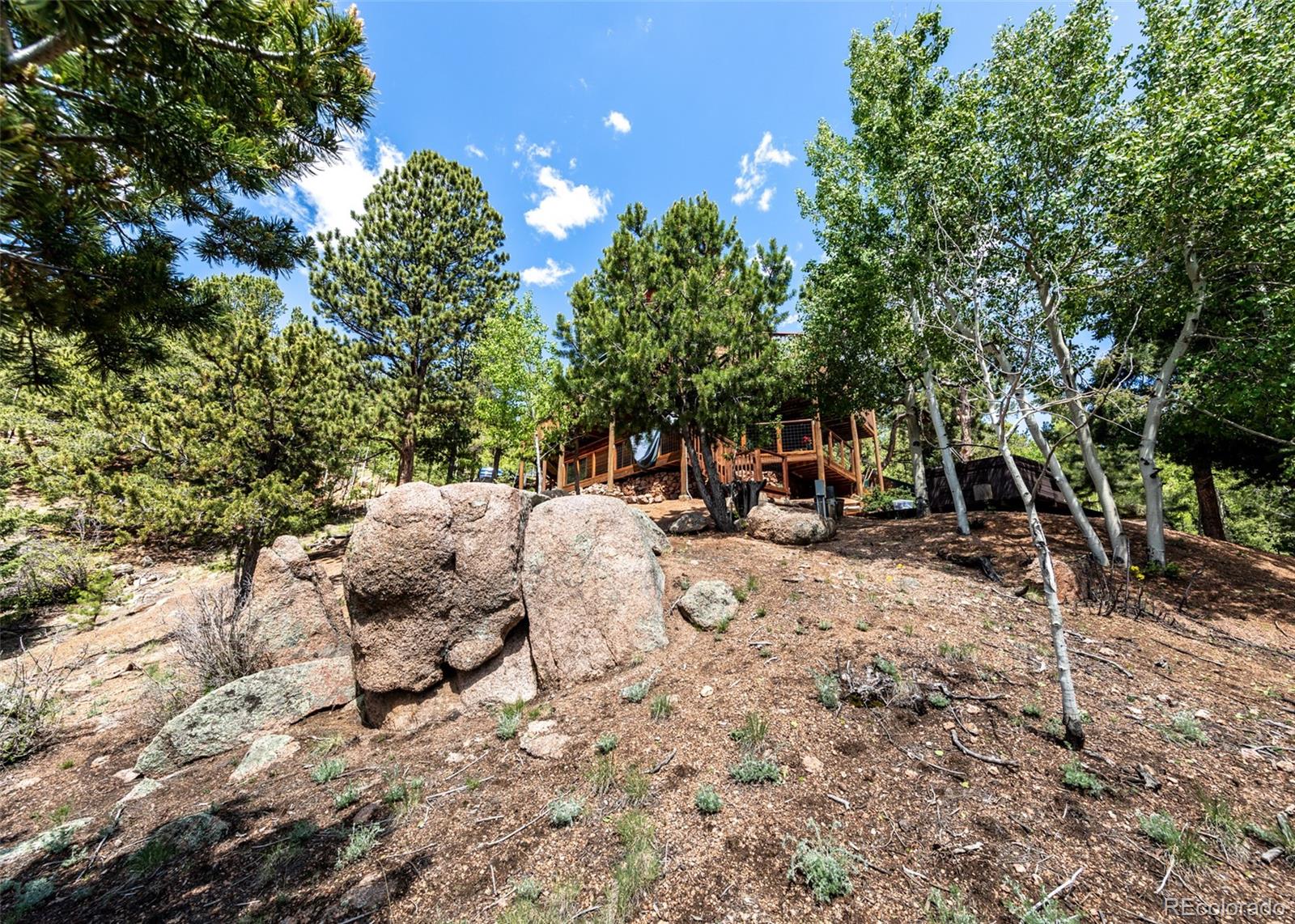 MLS Image #45 for 286  grosbeak circle,divide, Colorado