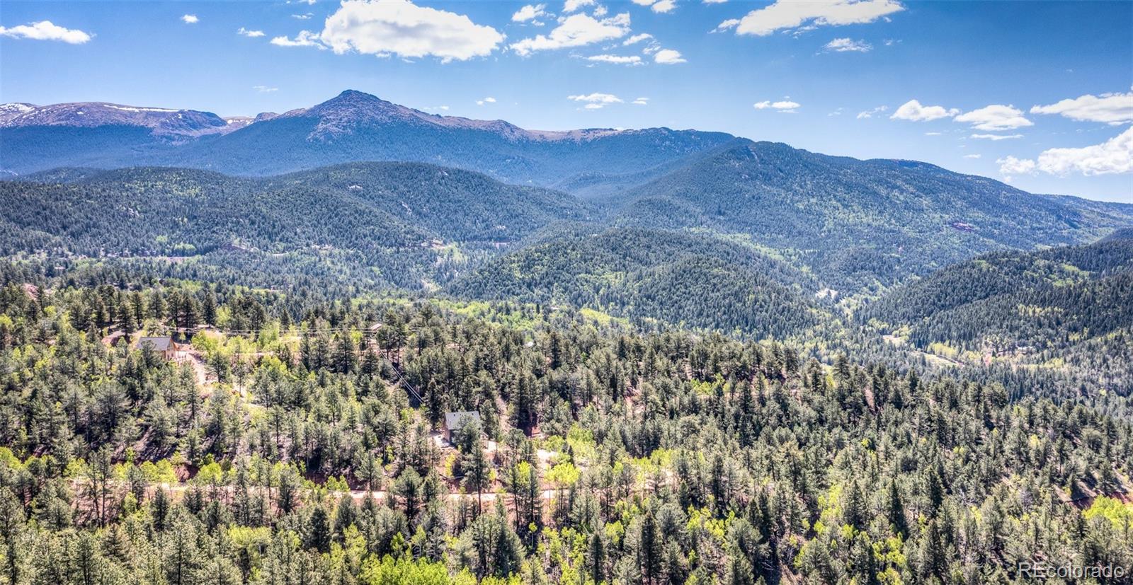 MLS Image #47 for 286  grosbeak circle,divide, Colorado