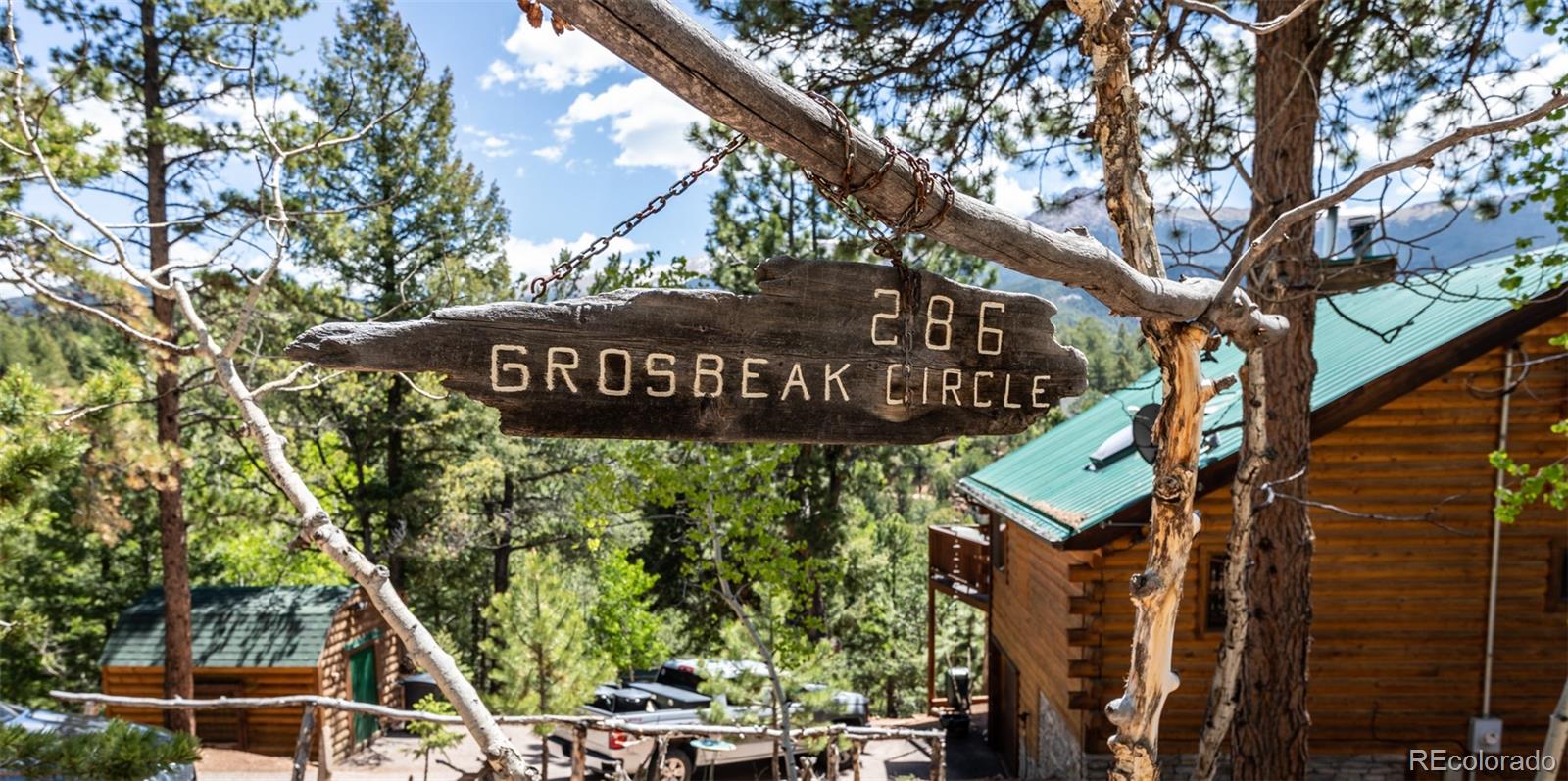 MLS Image #49 for 286  grosbeak circle,divide, Colorado
