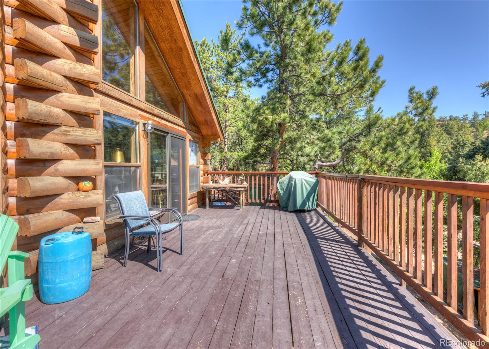 MLS Image #6 for 286  grosbeak circle,divide, Colorado