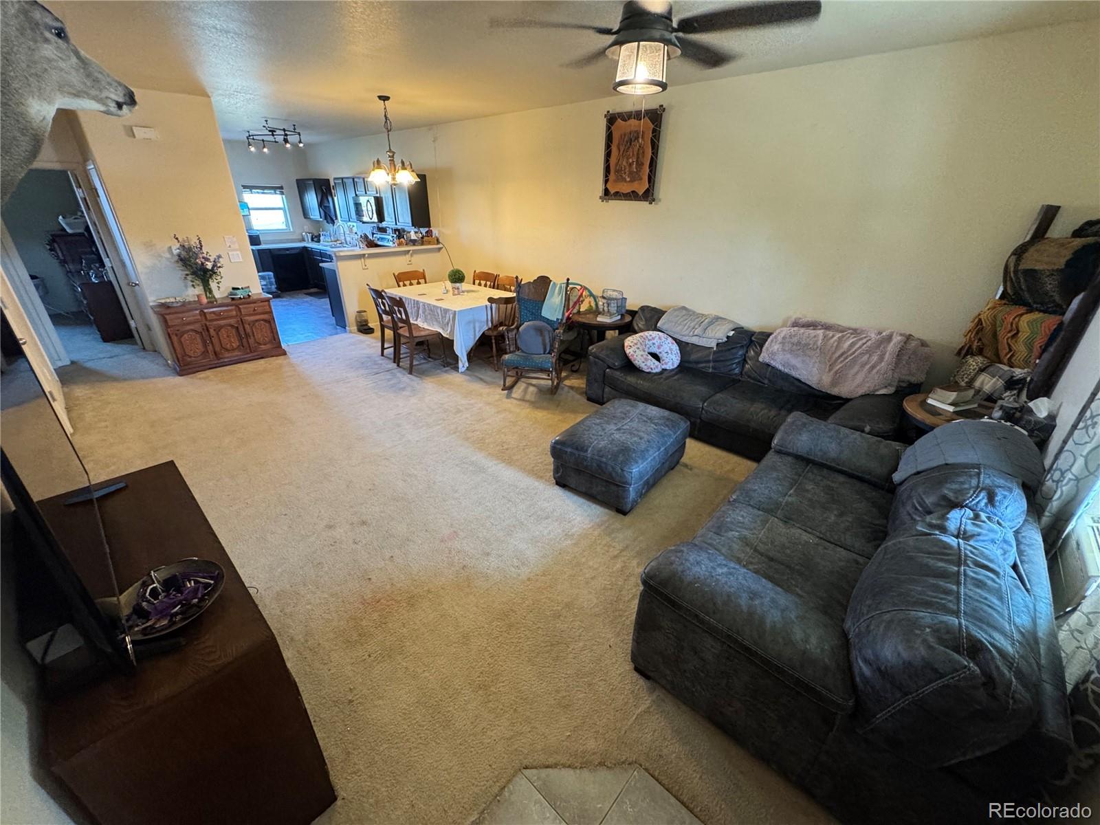 MLS Image #3 for 2874  rose hill street,strasburg, Colorado