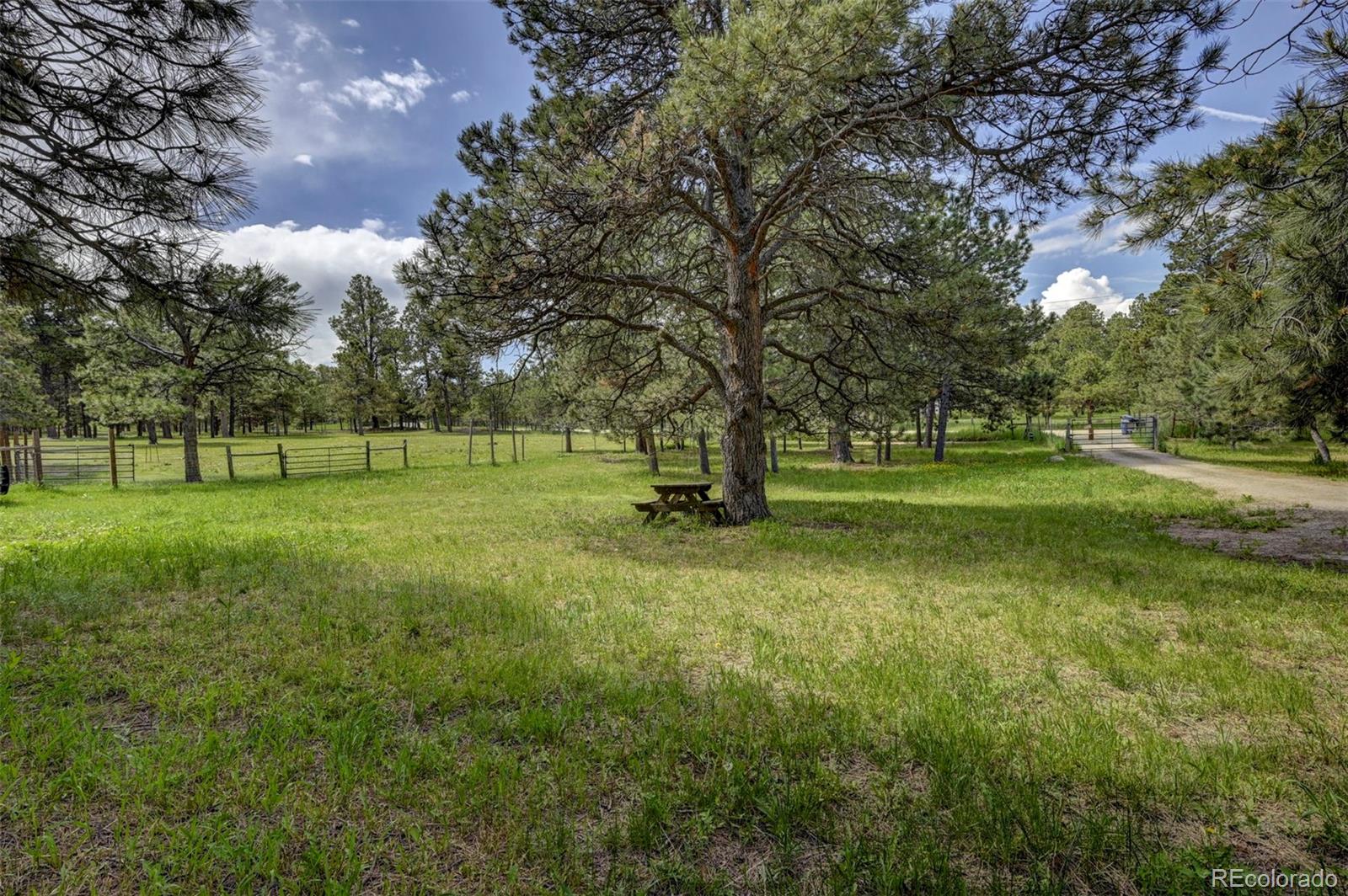 MLS Image #10 for 18085  table rock road,colorado springs, Colorado