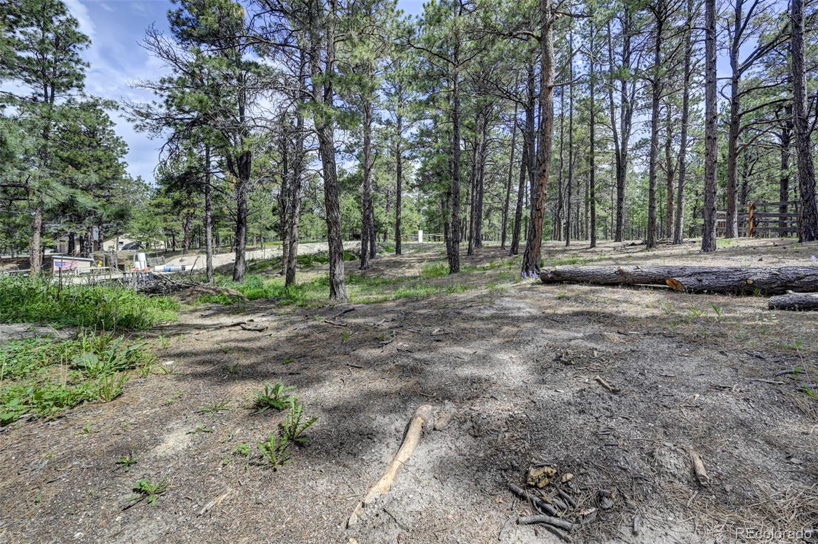 MLS Image #15 for 18085  table rock road,colorado springs, Colorado
