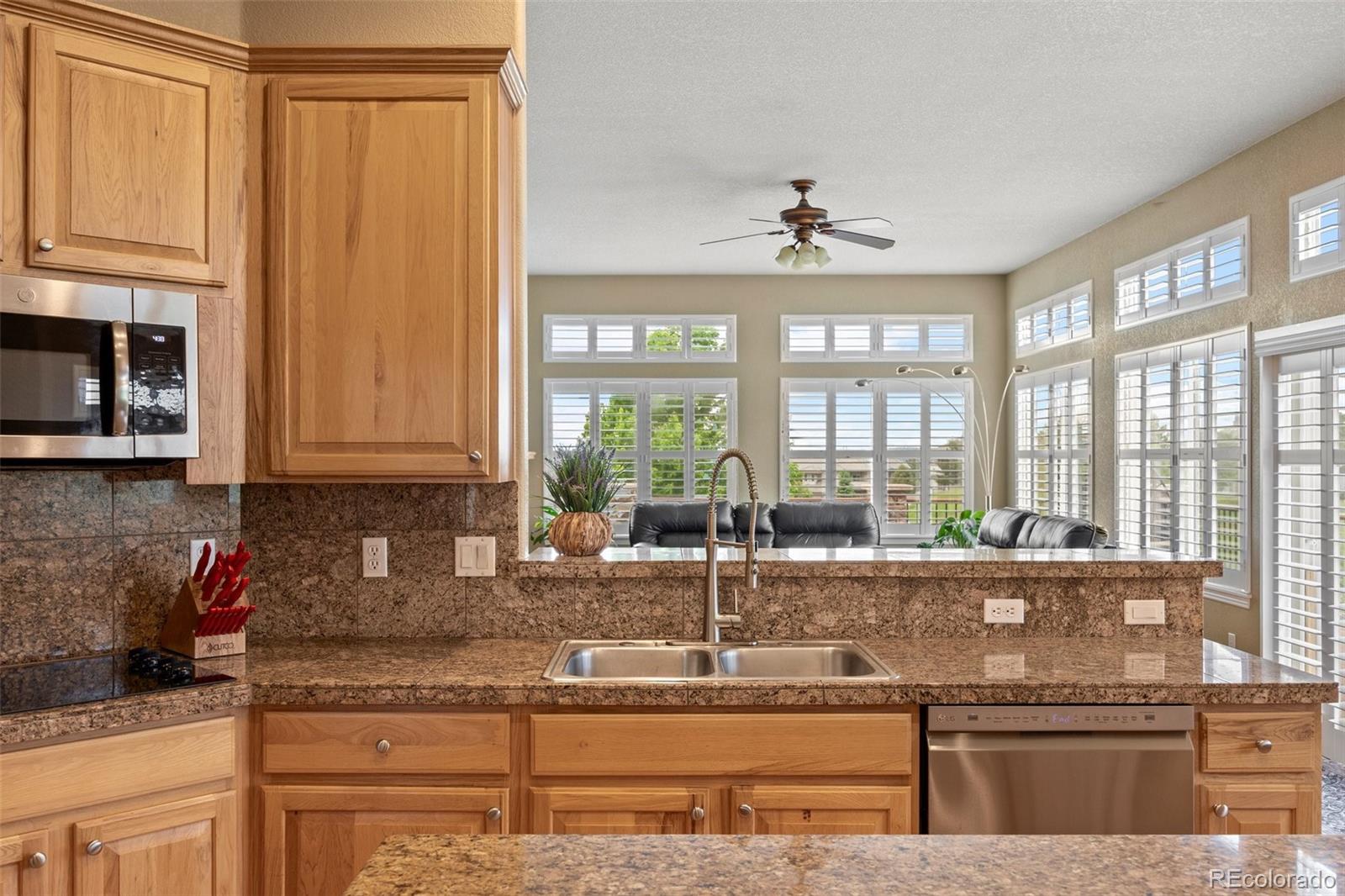 MLS Image #13 for 1251  double eagle court,castle rock, Colorado