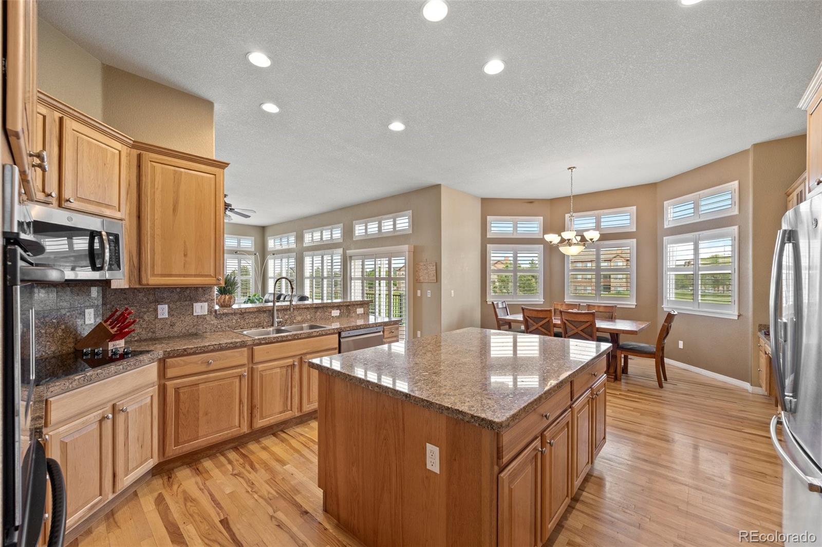 MLS Image #14 for 1251  double eagle court,castle rock, Colorado