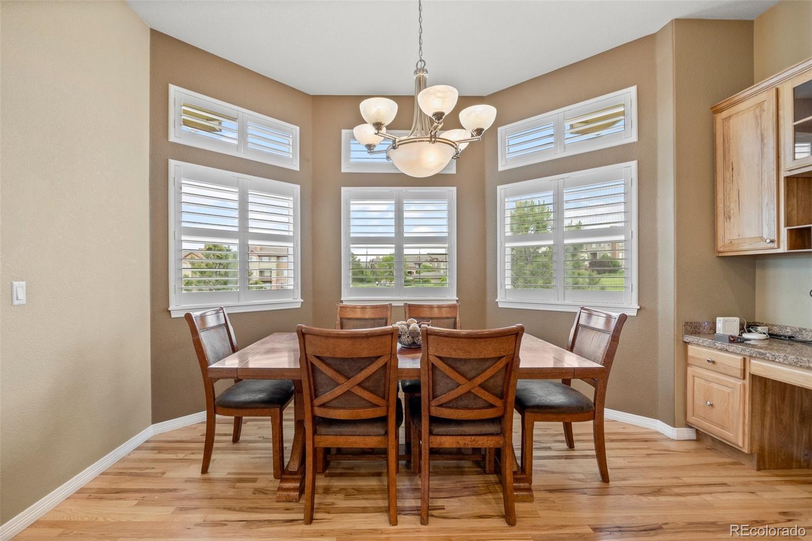 MLS Image #9 for 1251  double eagle court,castle rock, Colorado