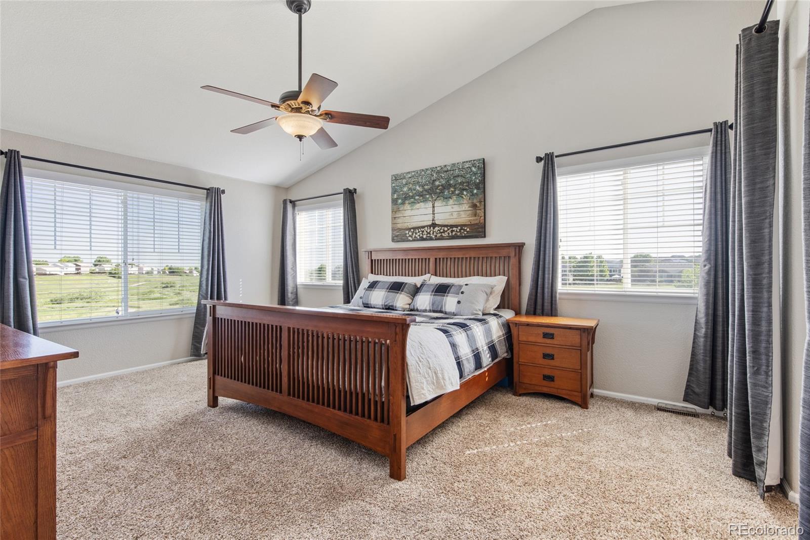 MLS Image #16 for 10533  redcone way,highlands ranch, Colorado