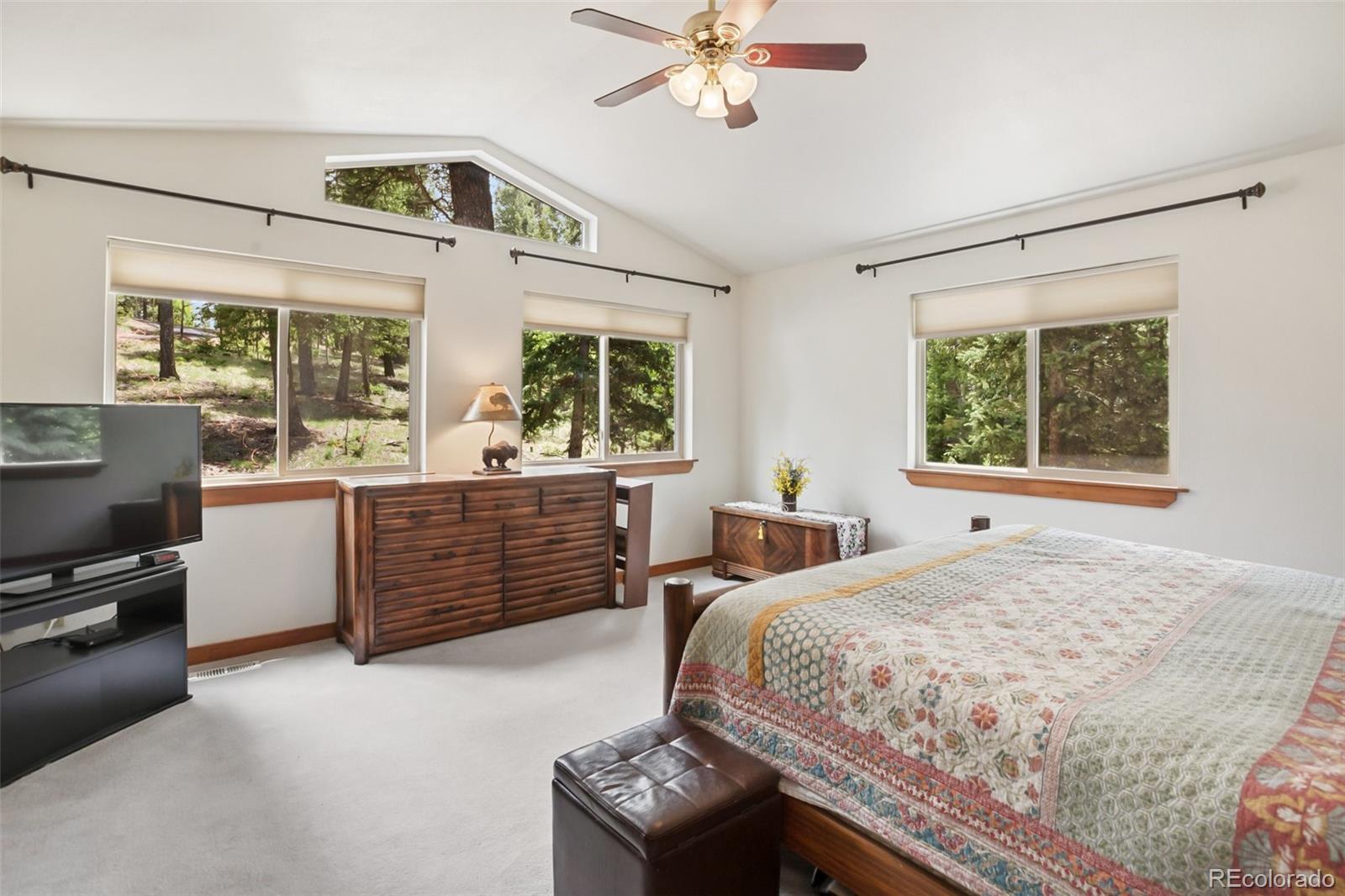 MLS Image #19 for 958  cottonwood lake drive,divide, Colorado