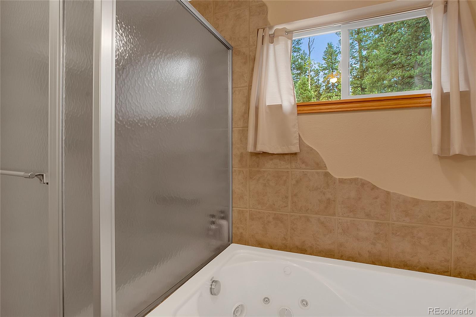 MLS Image #21 for 958  cottonwood lake drive,divide, Colorado