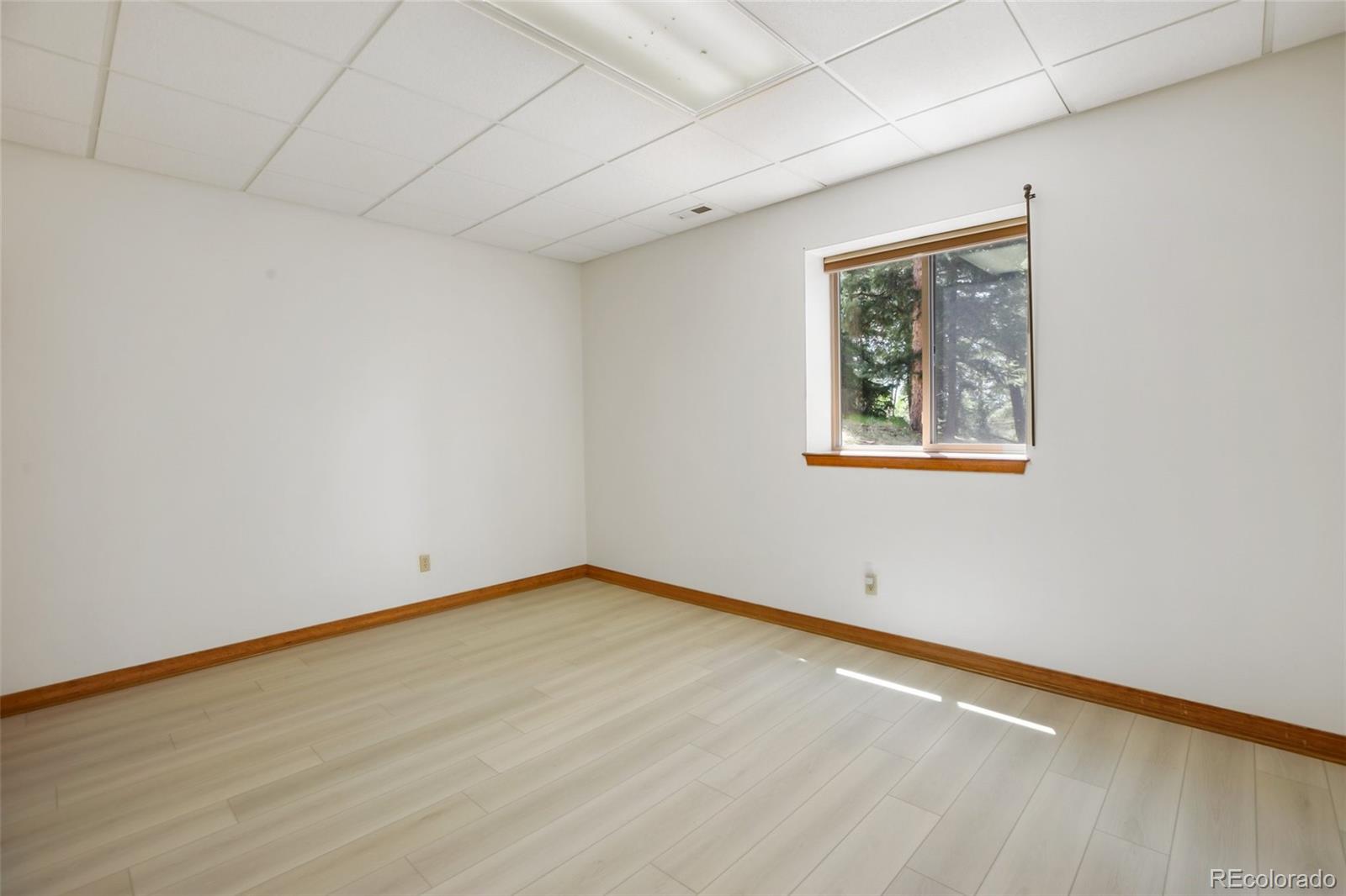 MLS Image #27 for 958  cottonwood lake drive,divide, Colorado