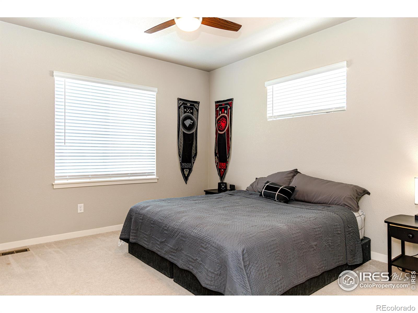 MLS Image #11 for 507  pronghorn court,wiggins, Colorado